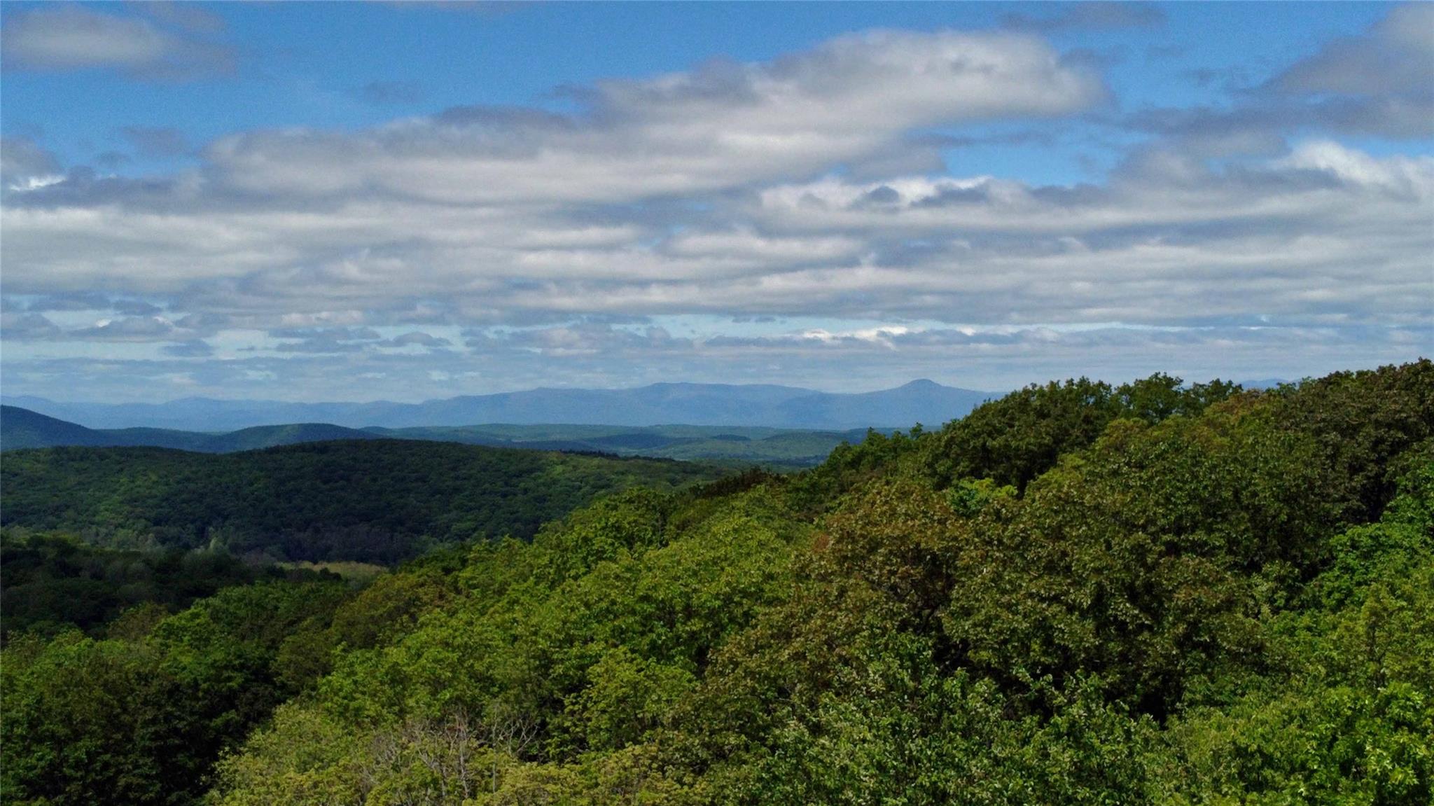 Skunks Misery Road, Millerton, NY 12546