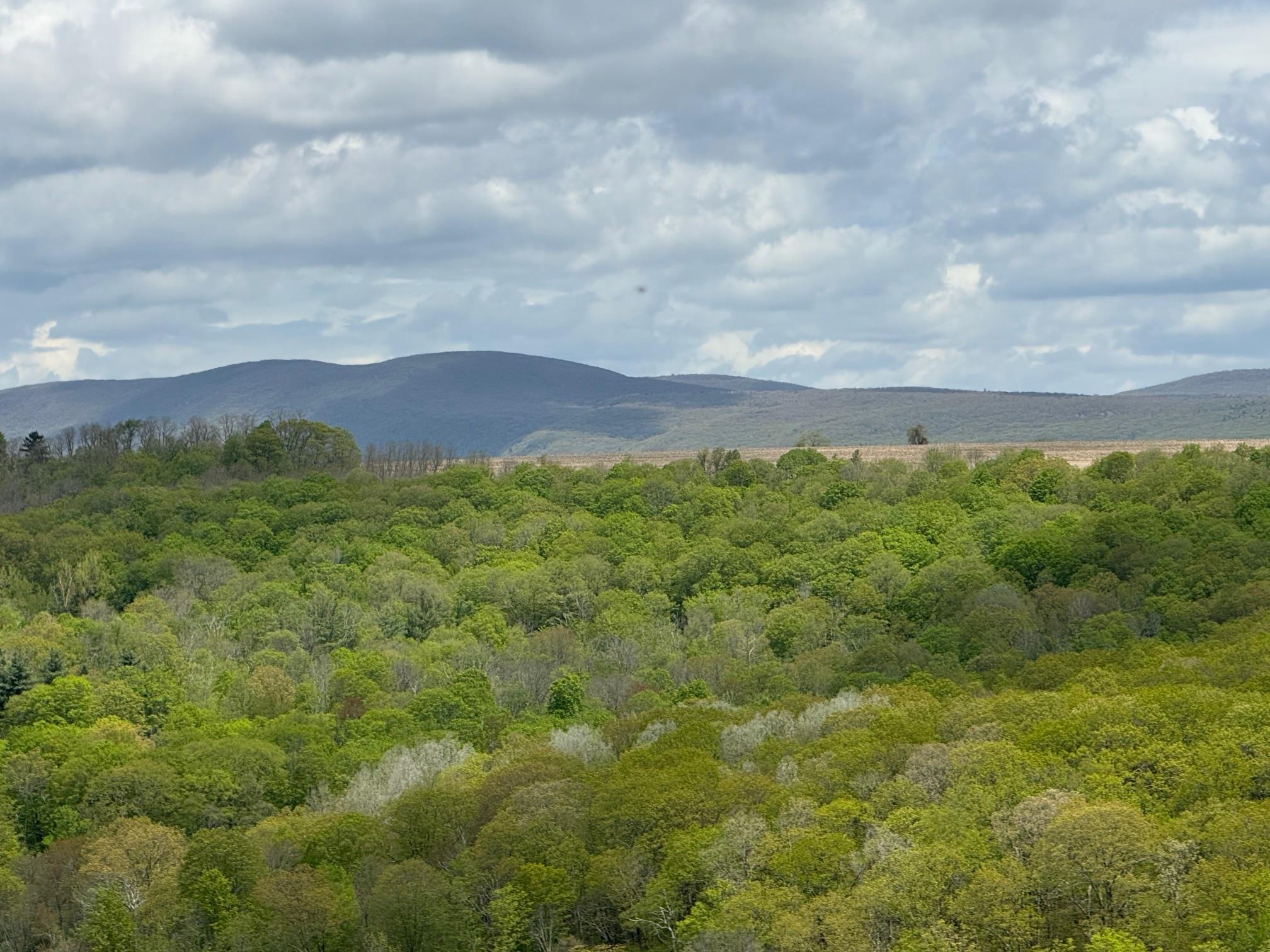 Skunks Misery Road, Millerton, NY 12546
