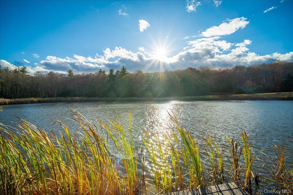 236 Budd Road, Wurtsboro, NY 12788