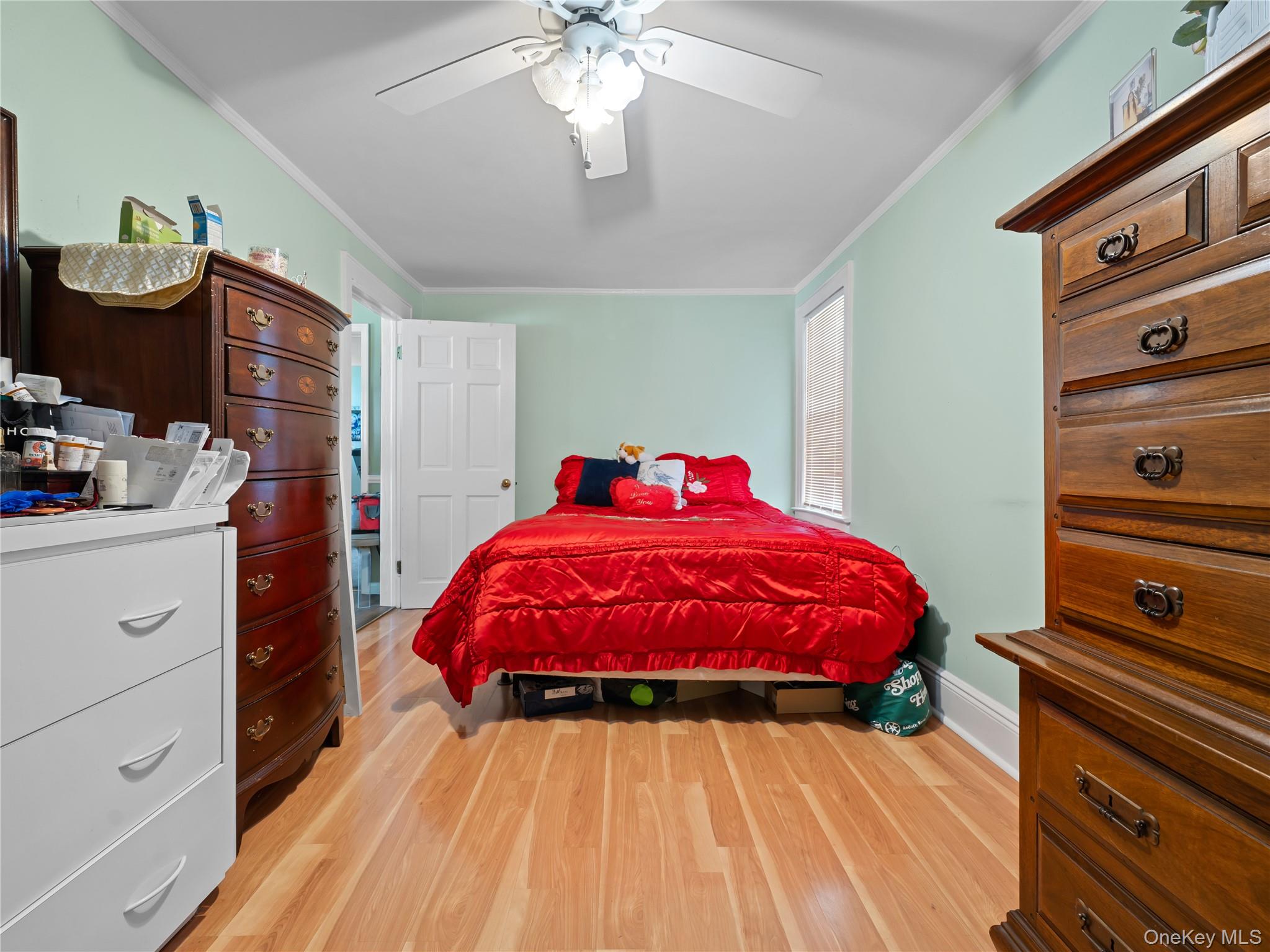 8 Savoy Avenue, Elmont, NY 11003