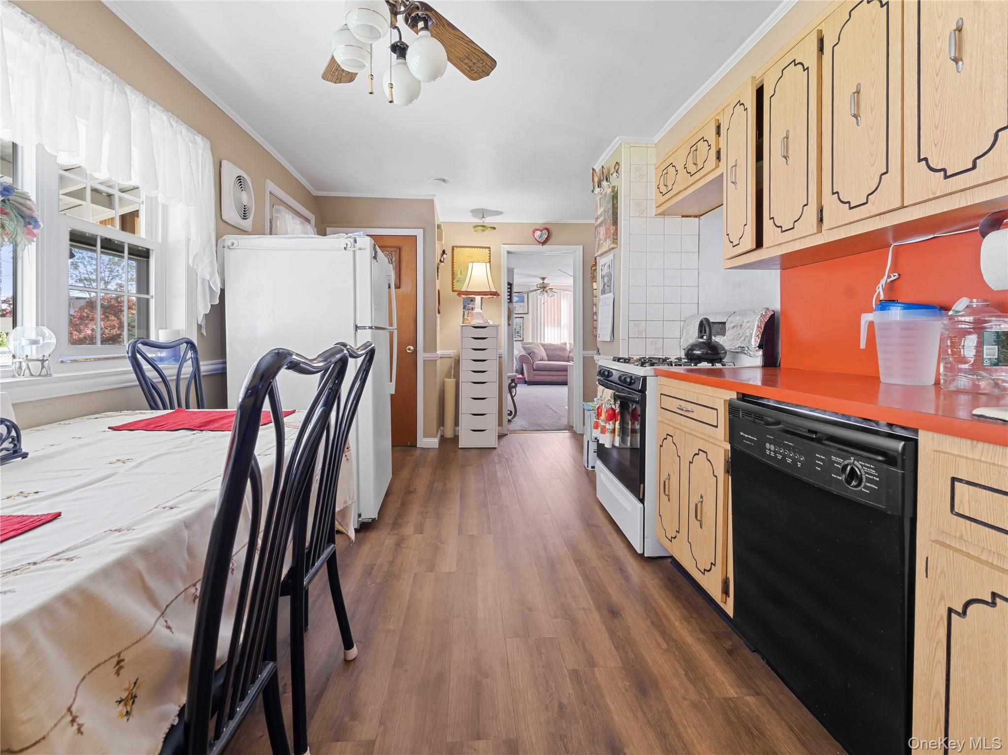 8 Savoy Avenue, Elmont, NY 11003