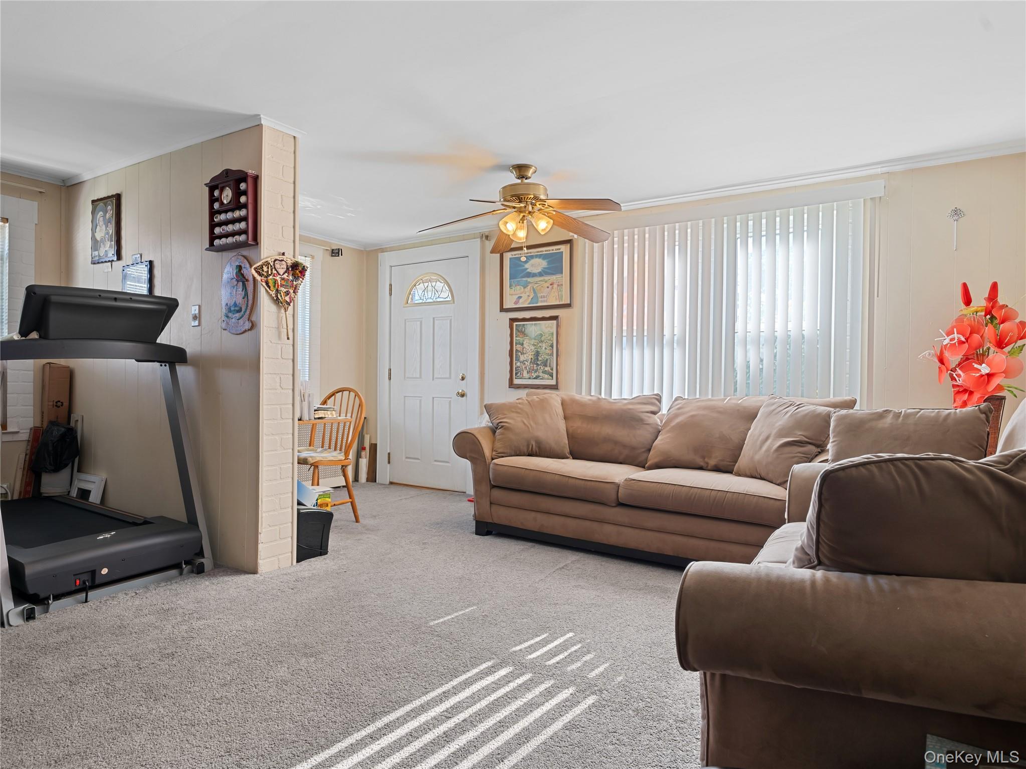 8 Savoy Avenue, Elmont, NY 11003