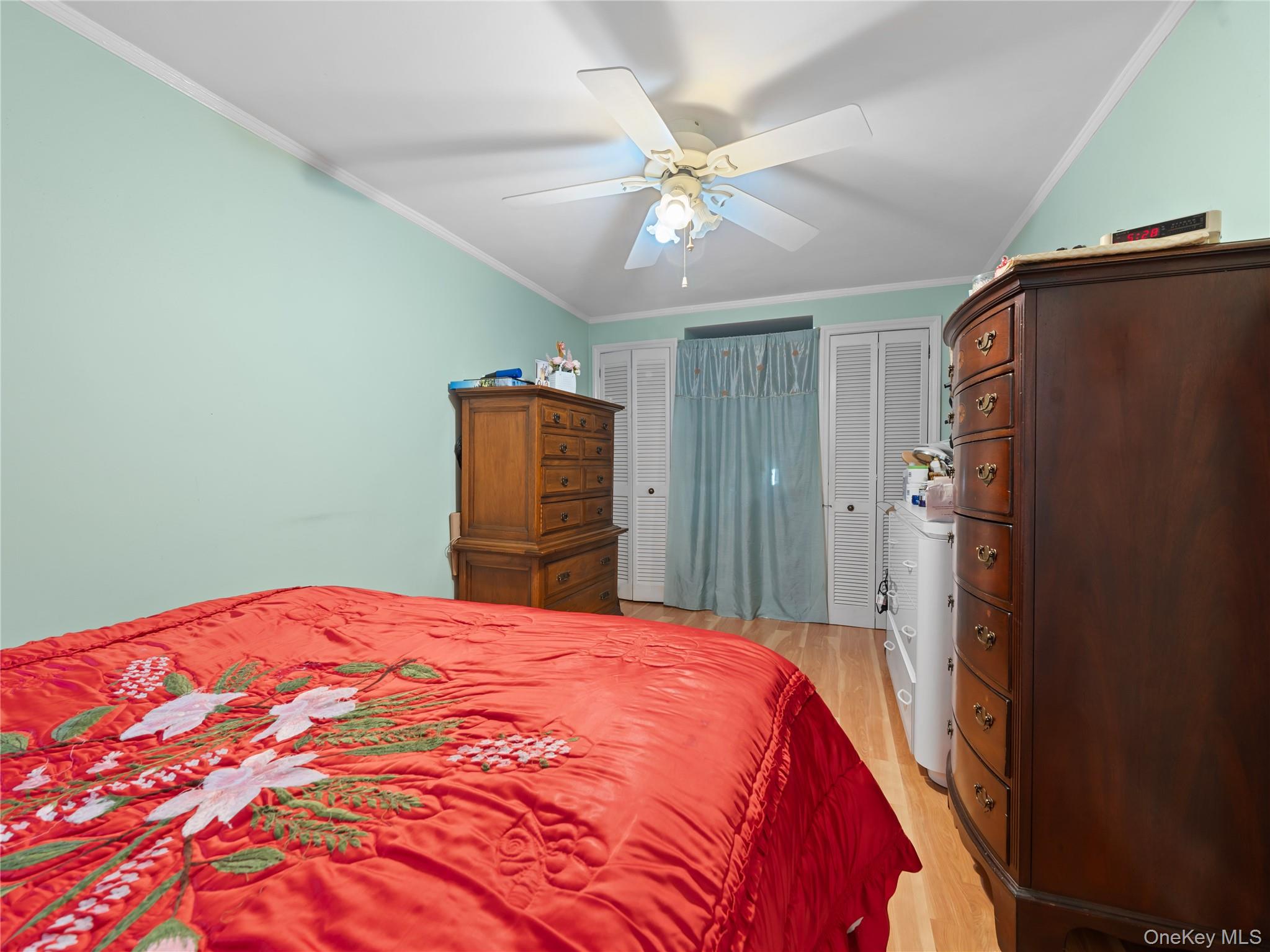 8 Savoy Avenue, Elmont, NY 11003