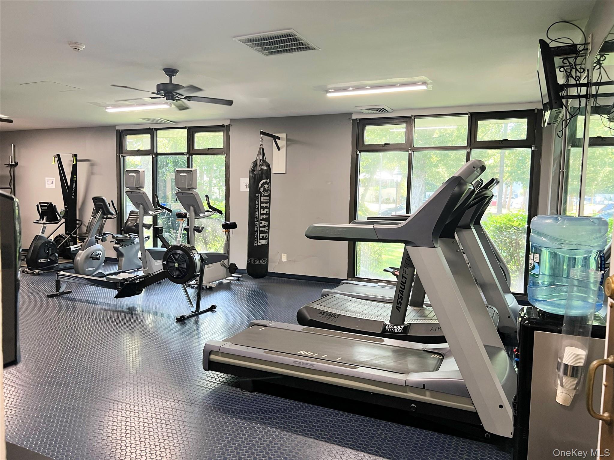 784 Blue Ridge Drive, Medford, NY 11763