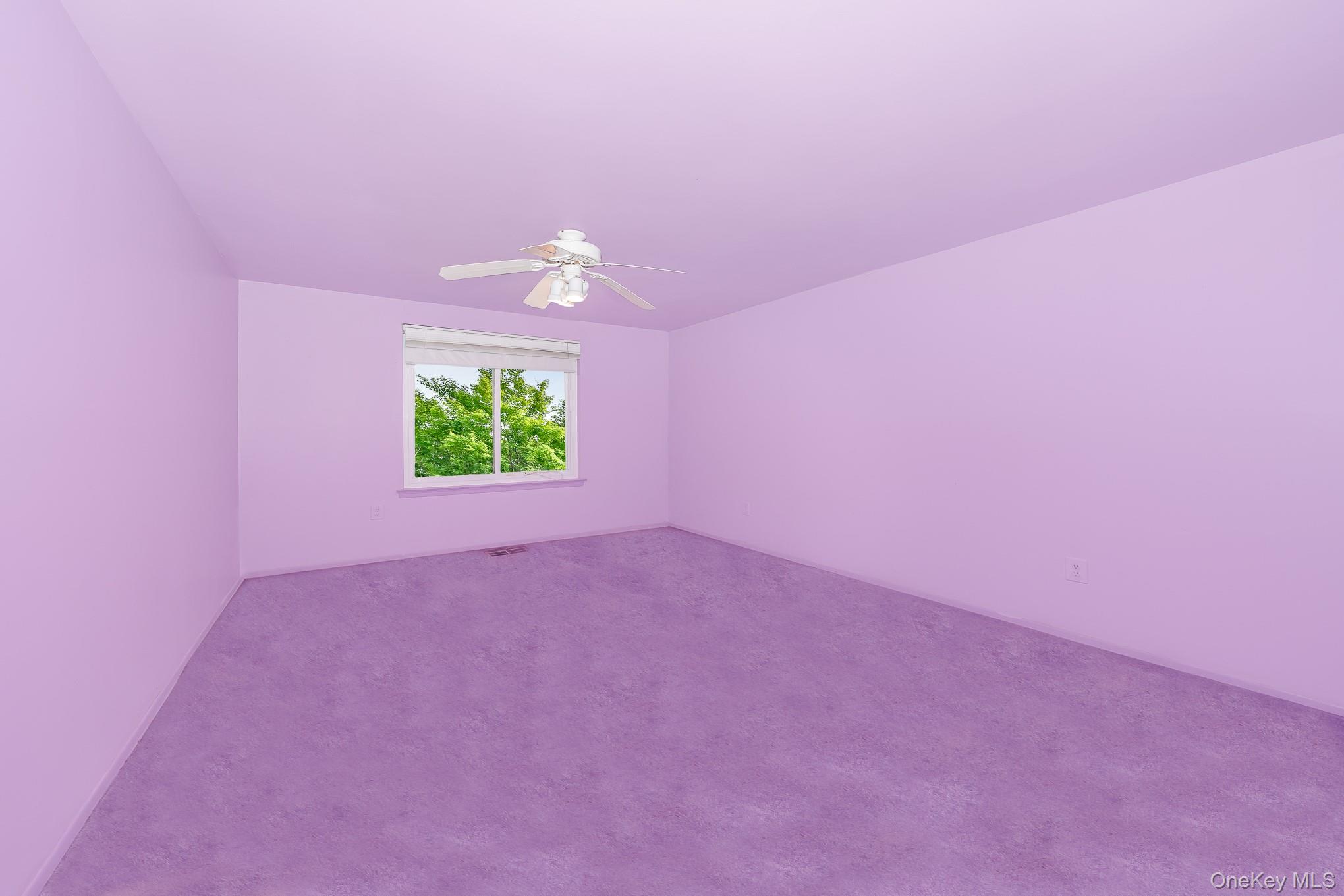 784 Blue Ridge Drive, Medford, NY 11763