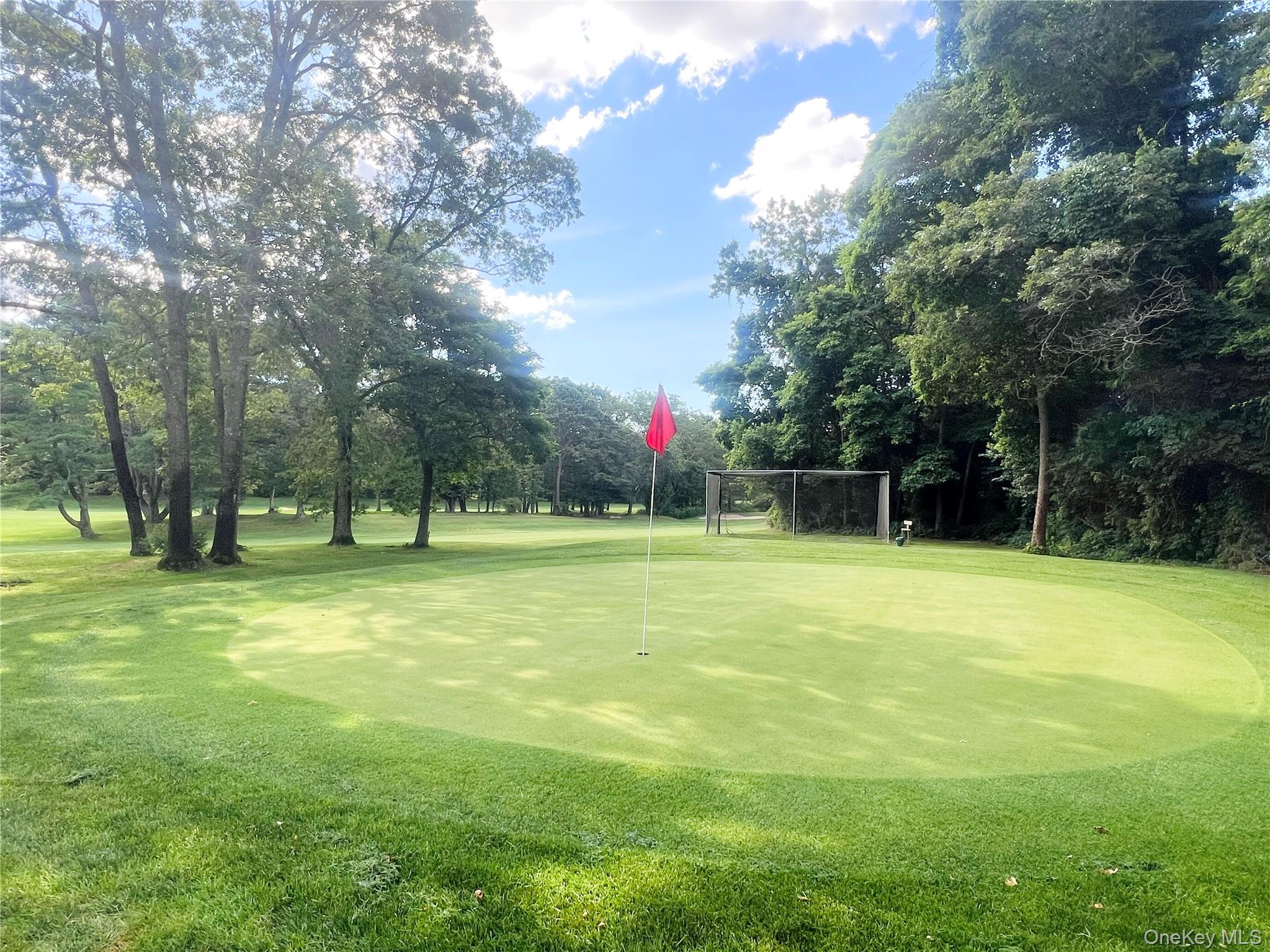 784 Blue Ridge Drive, Medford, NY 11763