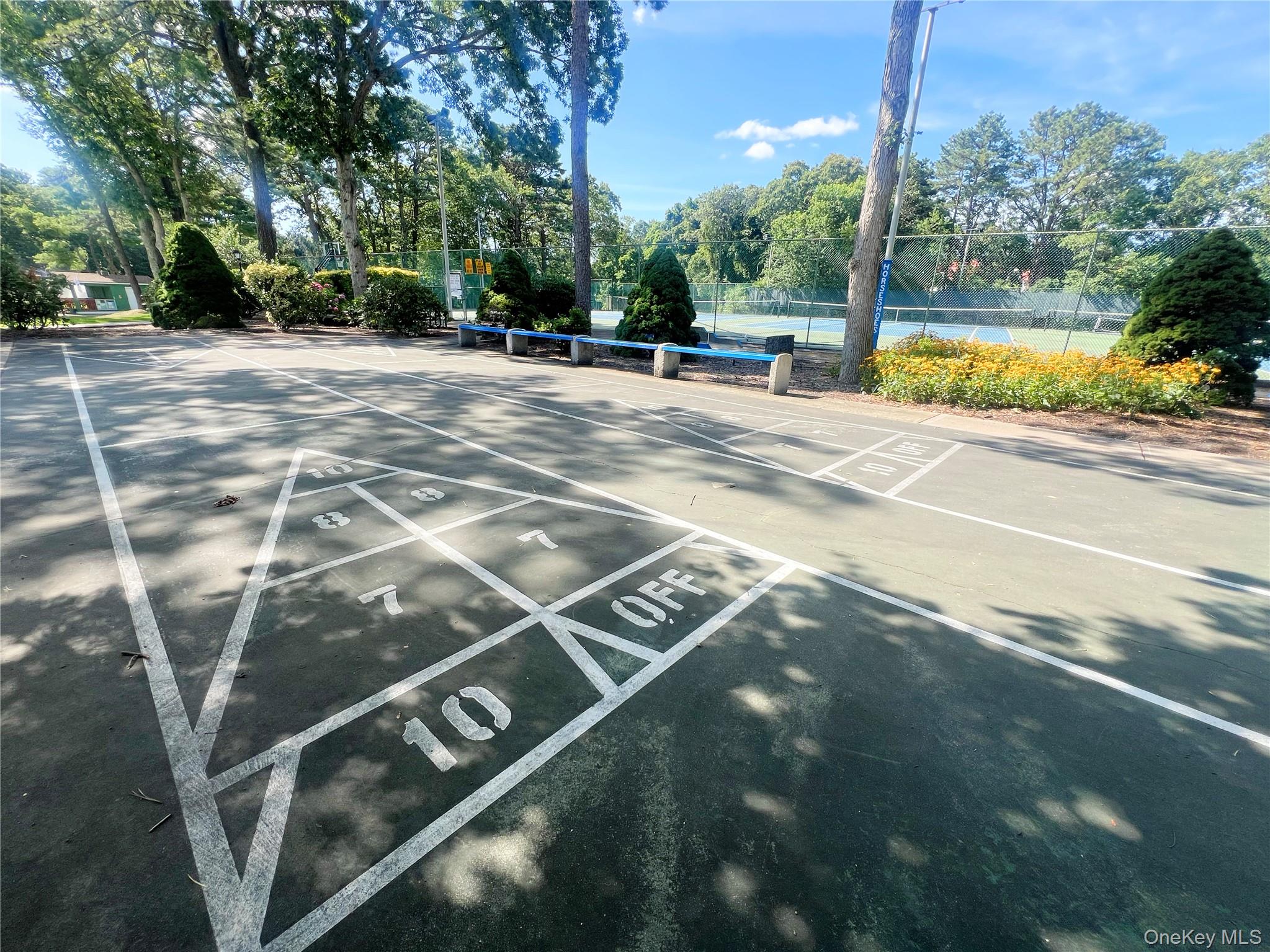 784 Blue Ridge Drive, Medford, NY 11763