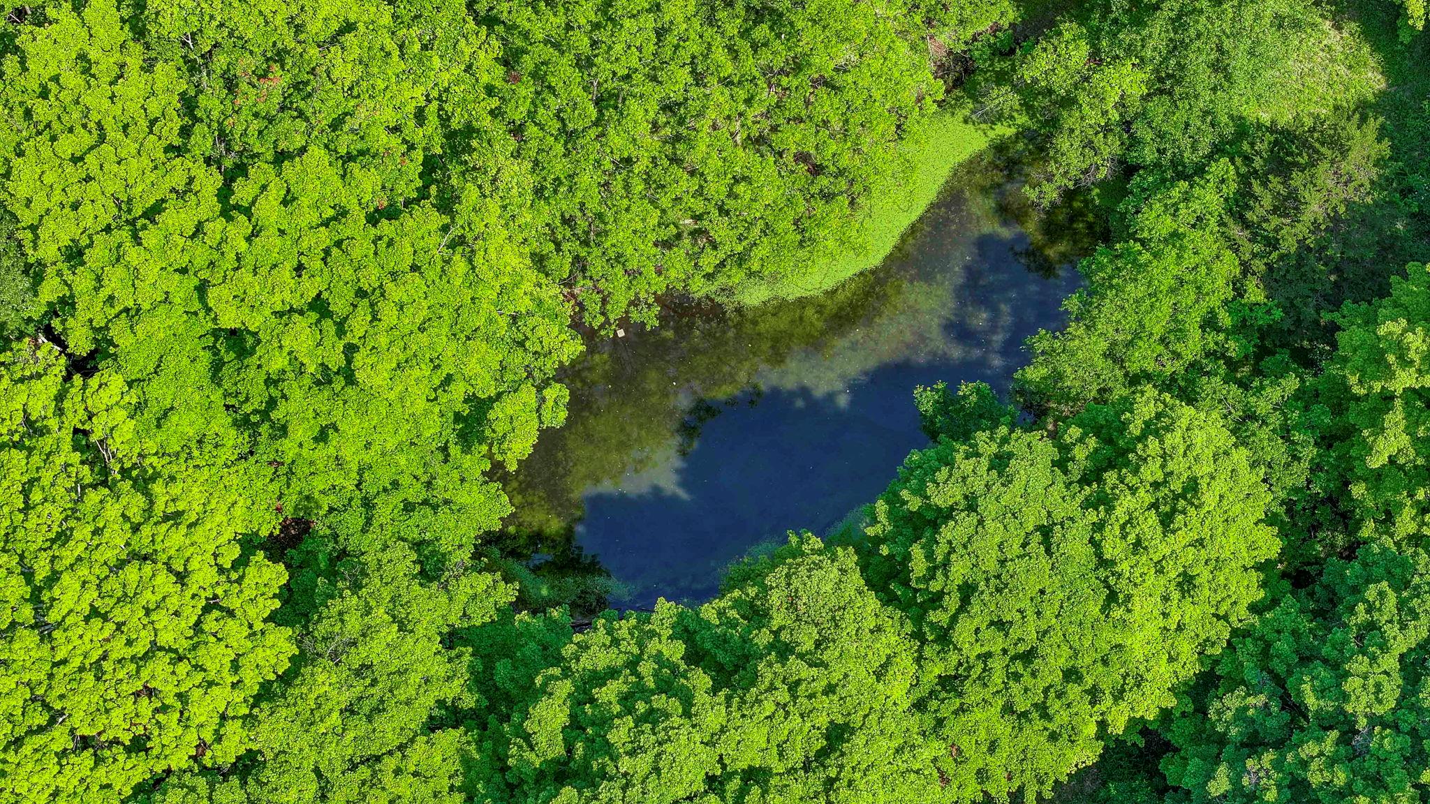 553 Roosa Gap Road, Bloomingburg, NY 12721