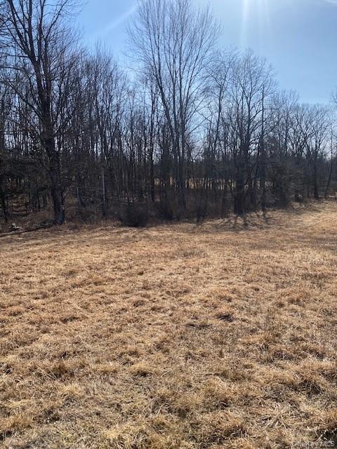 29 Hubbard Road, Middletown, NY 10940