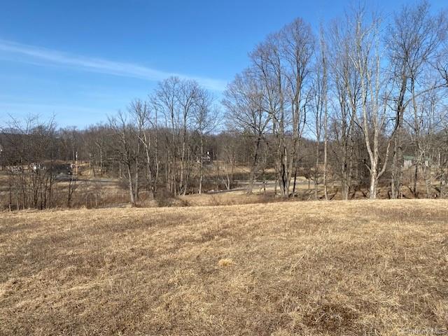 29 Hubbard Road, Middletown, NY 10940