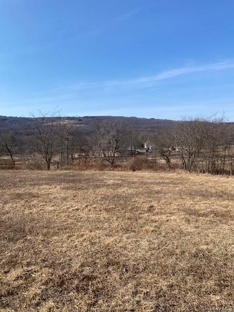 29 Hubbard Road, Middletown, NY 10940