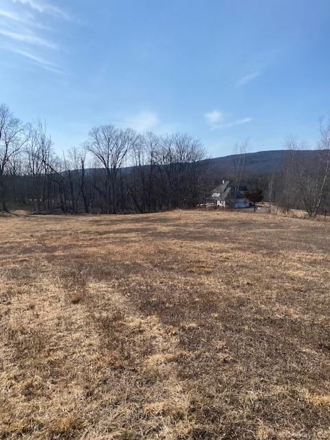 29 Hubbard Road, Middletown, NY 10940