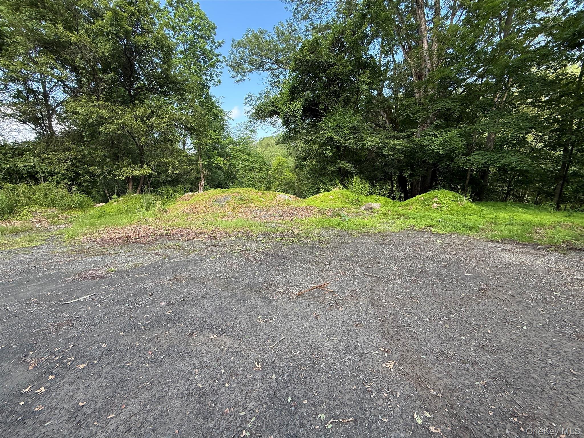 47 River Lane, Bloomingburg, NY 12721