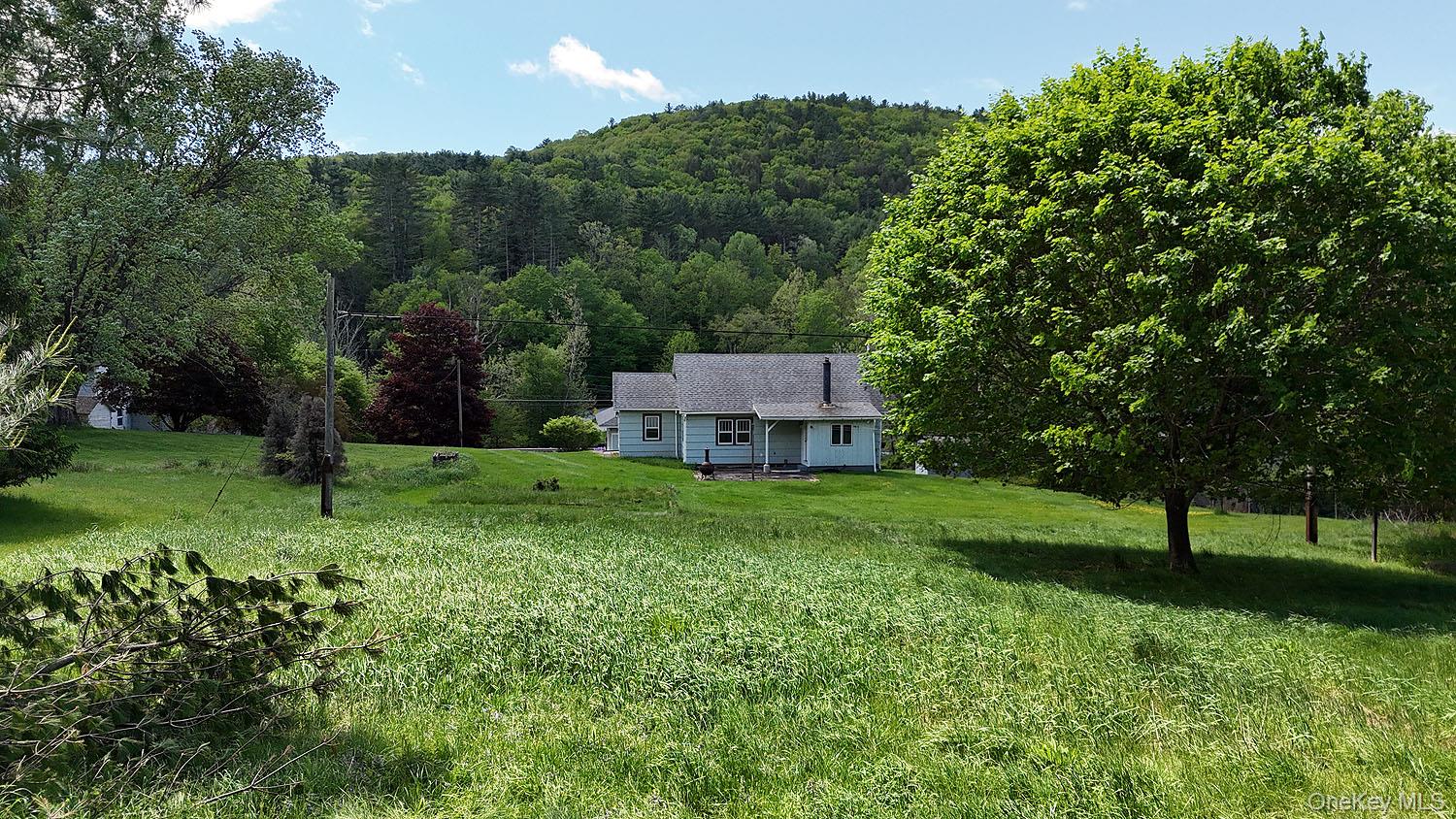 4304 & 4306 State Route 17B, Callicoon, NY 12723