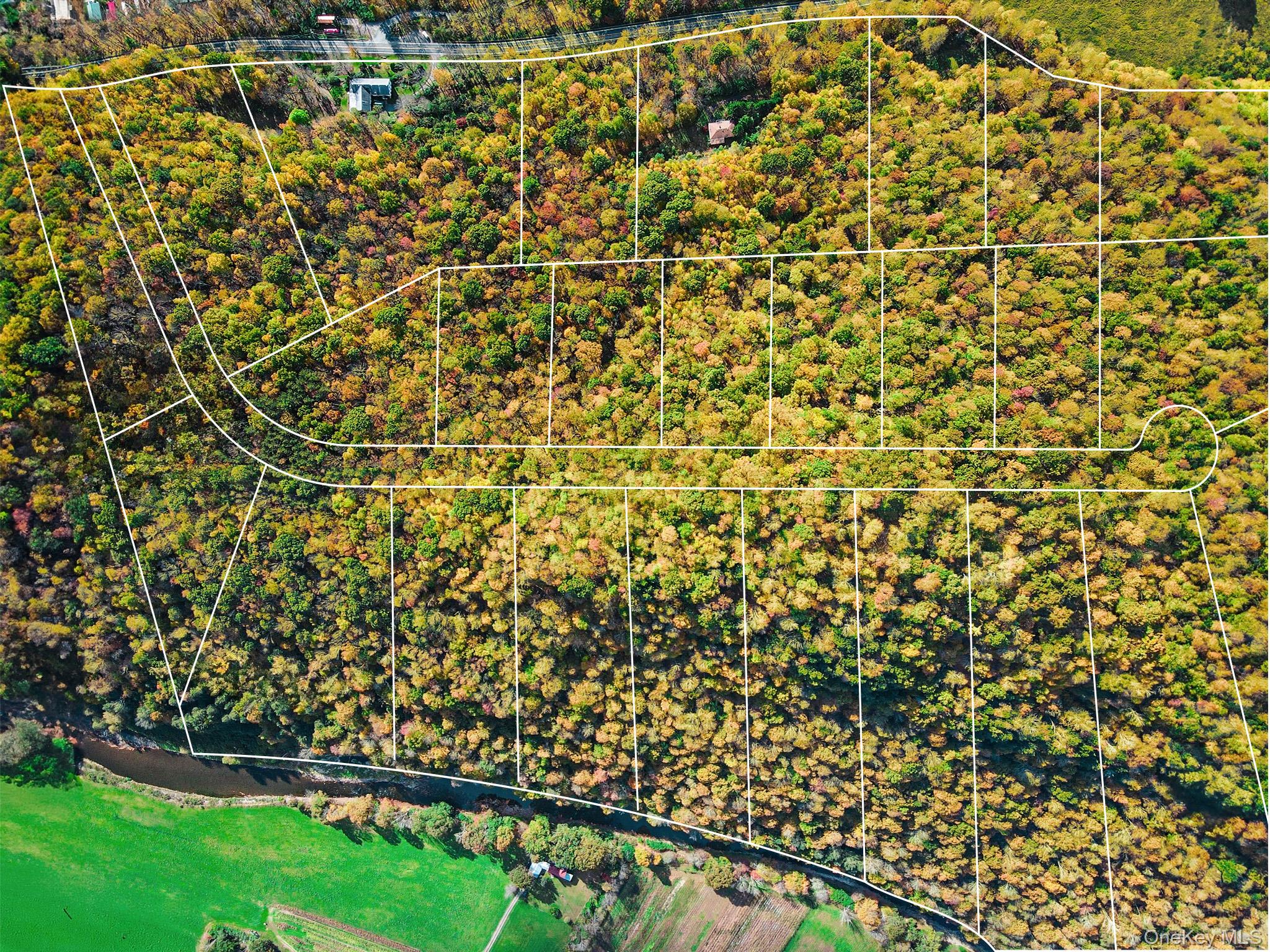 2182 Old Route 17, Roscoe, NY 12776