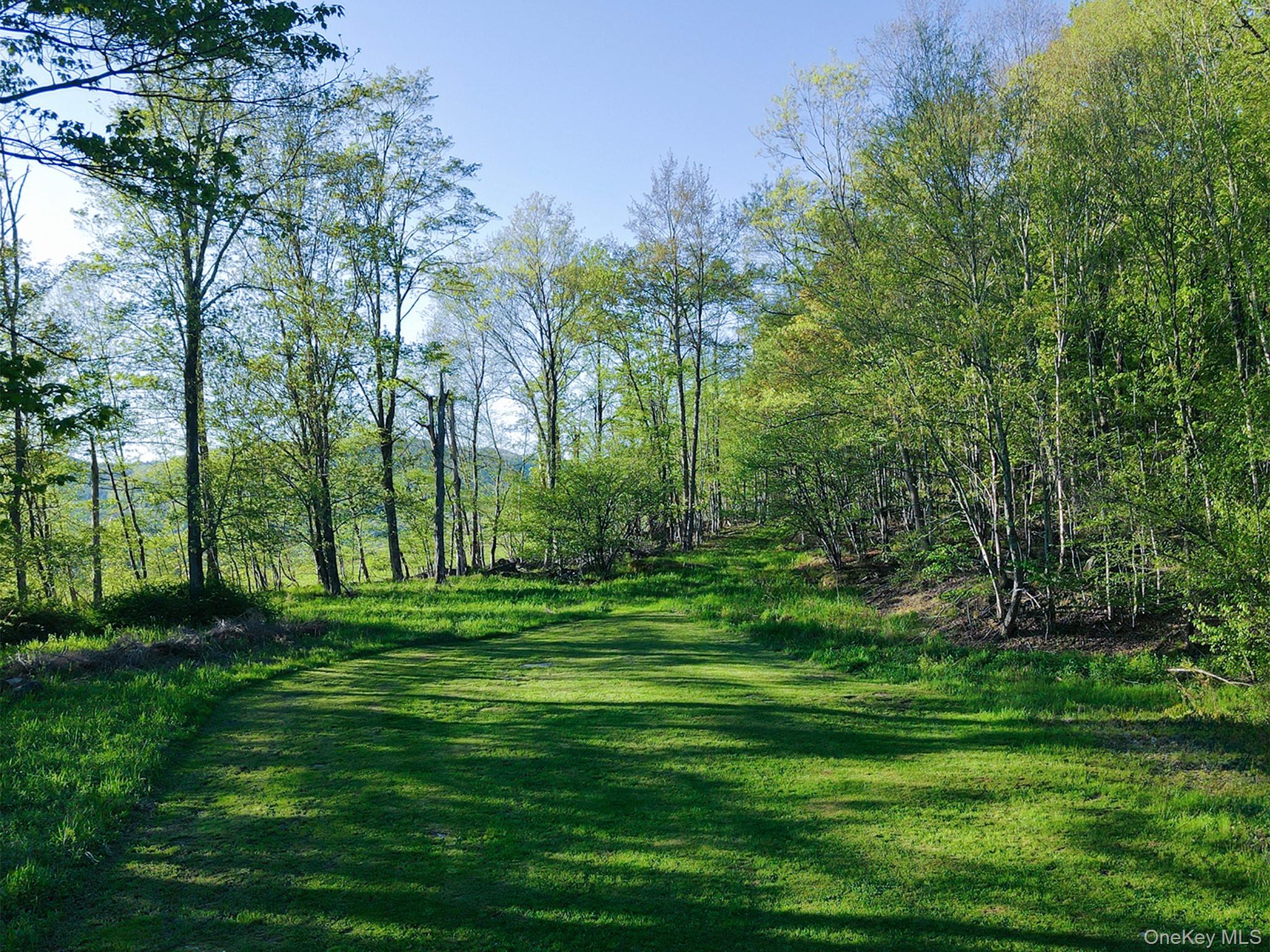 2182 Old Route 17, Roscoe, NY 12776