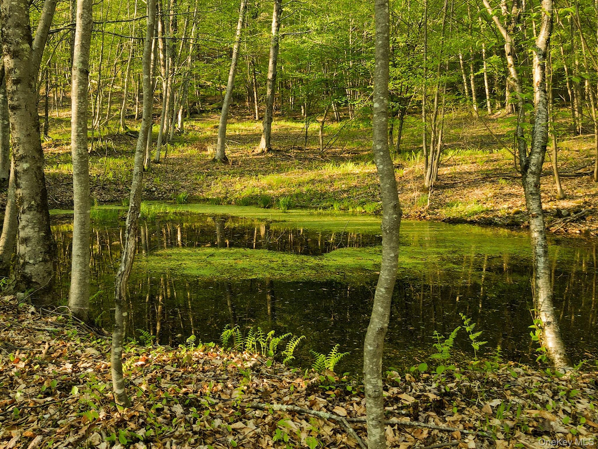 2182 Old Route 17, Roscoe, NY 12776