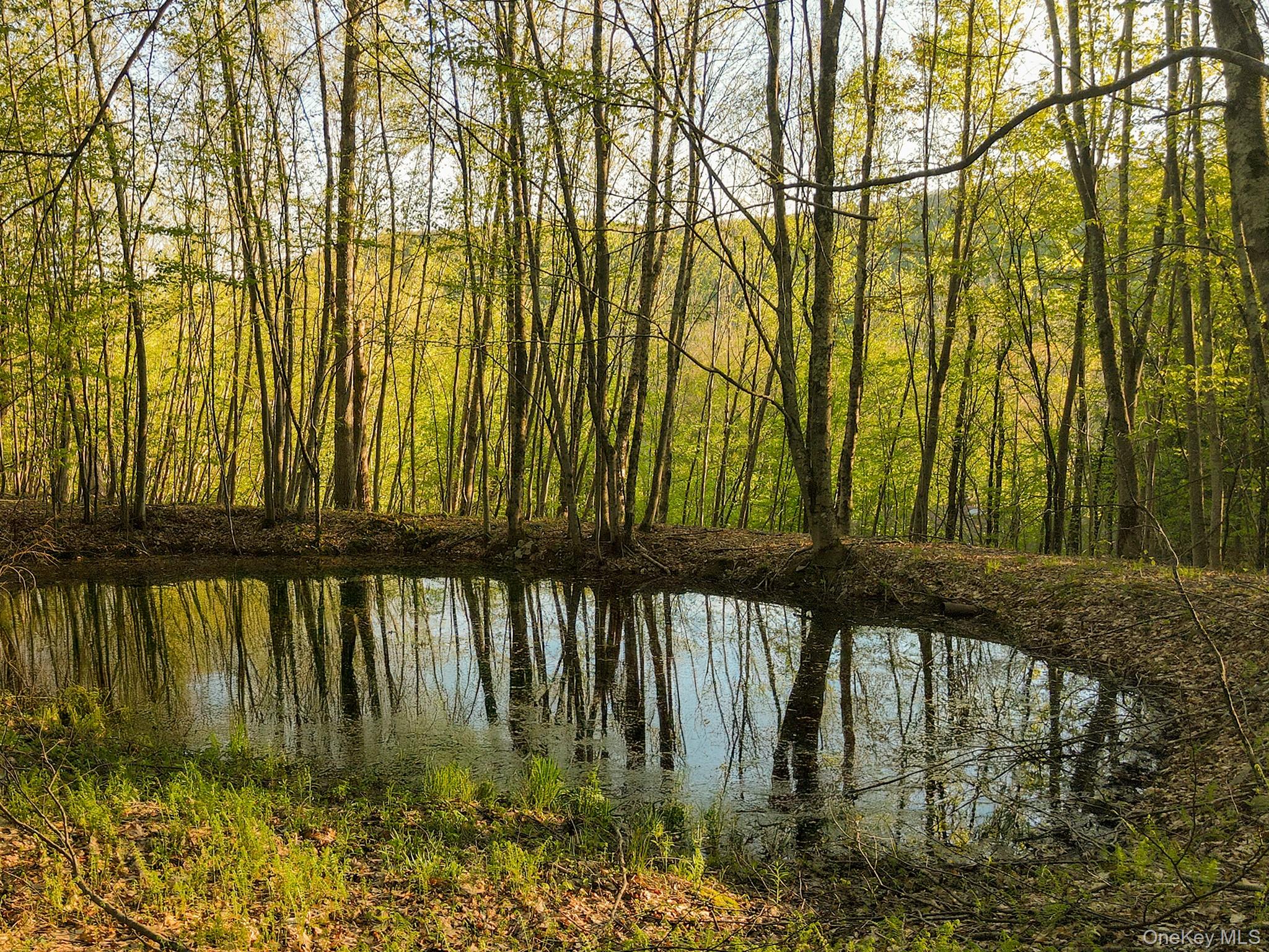 2182 Old Route 17, Roscoe, NY 12776