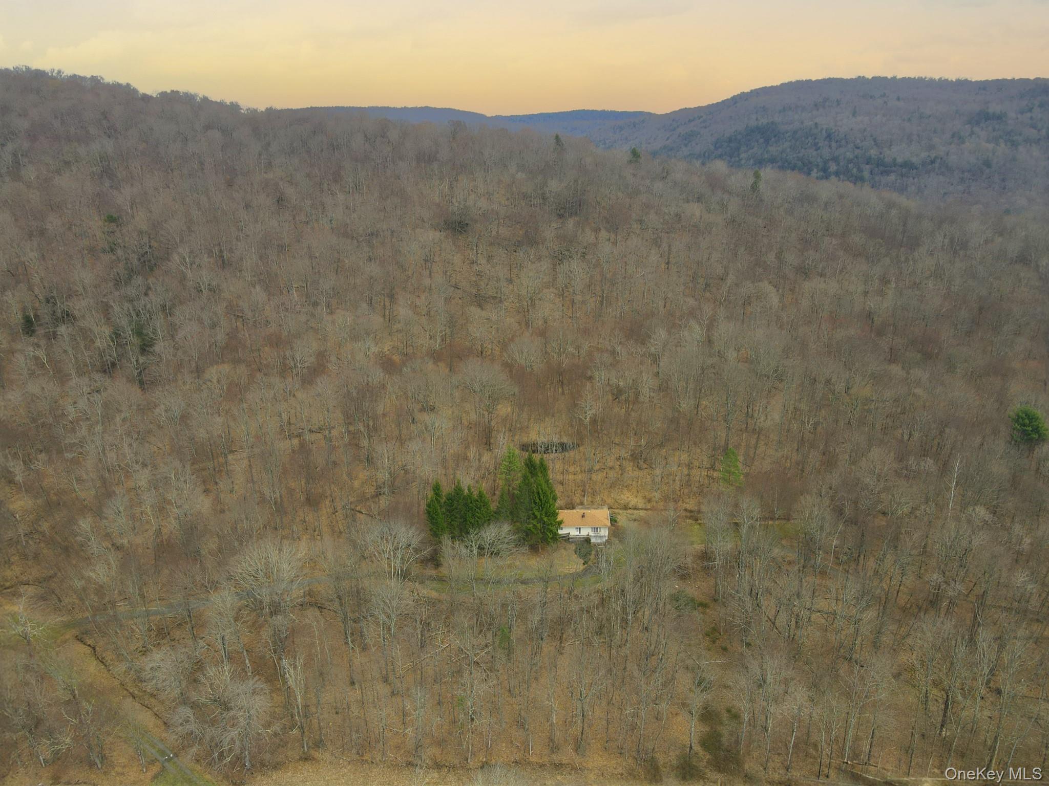 2182 Old Route 17, Roscoe, NY 12776