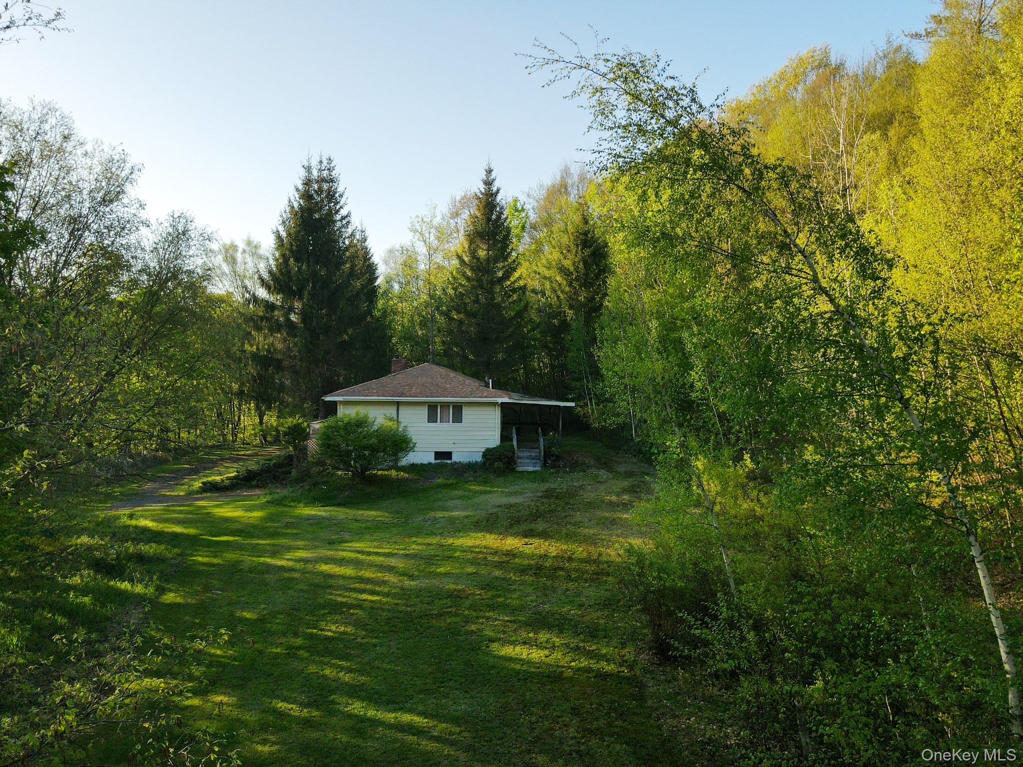 2182 Old Route 17, Roscoe, NY 12776