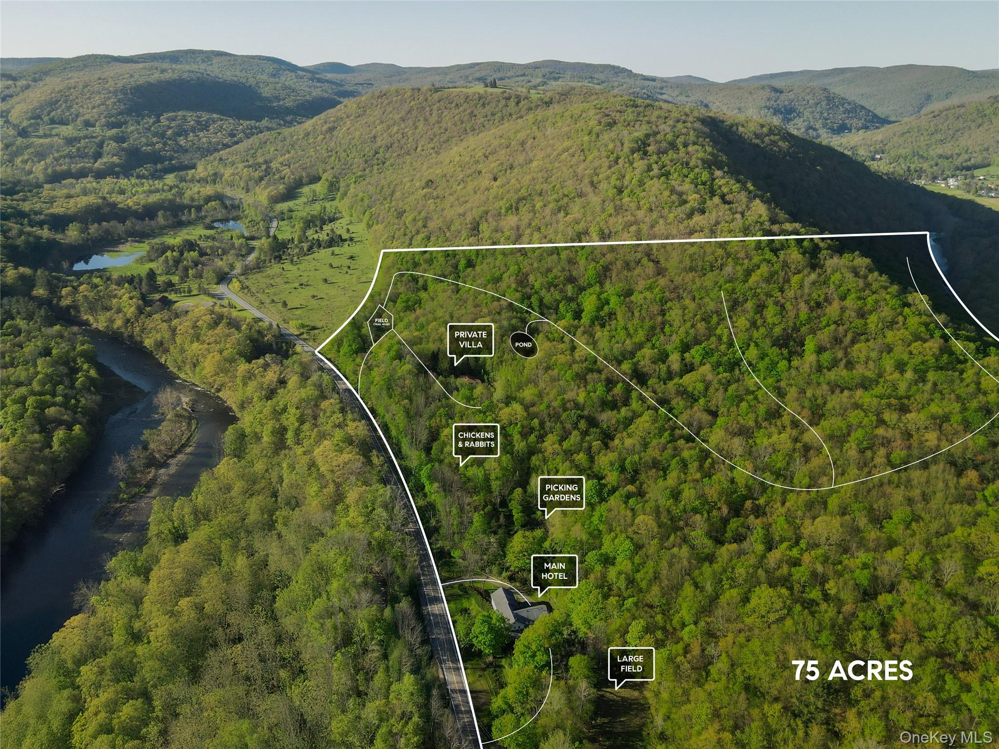 2182 Old Route 17, Roscoe, NY 12776