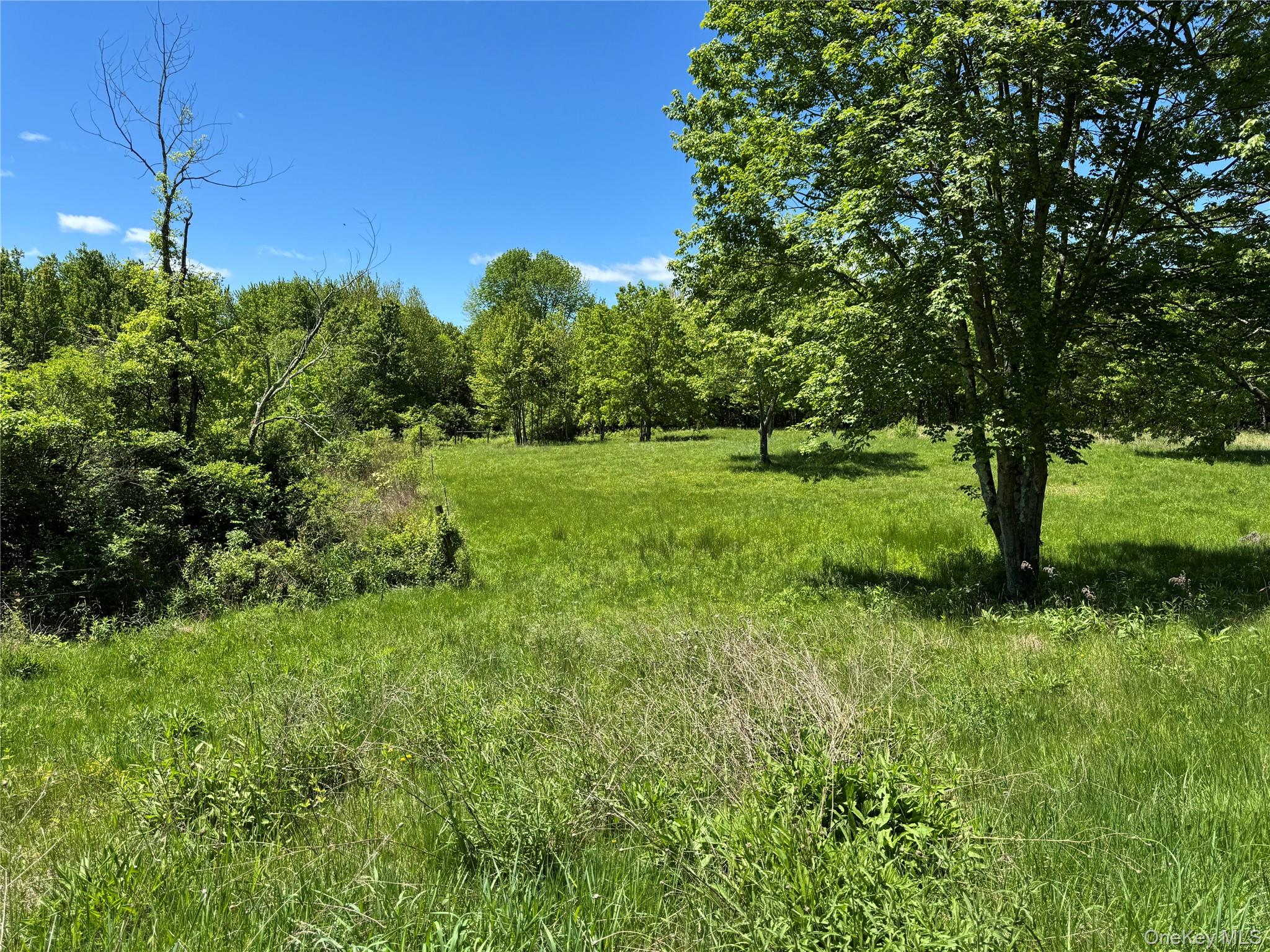 519 Woodstock Road, Millbrook, NY 12545