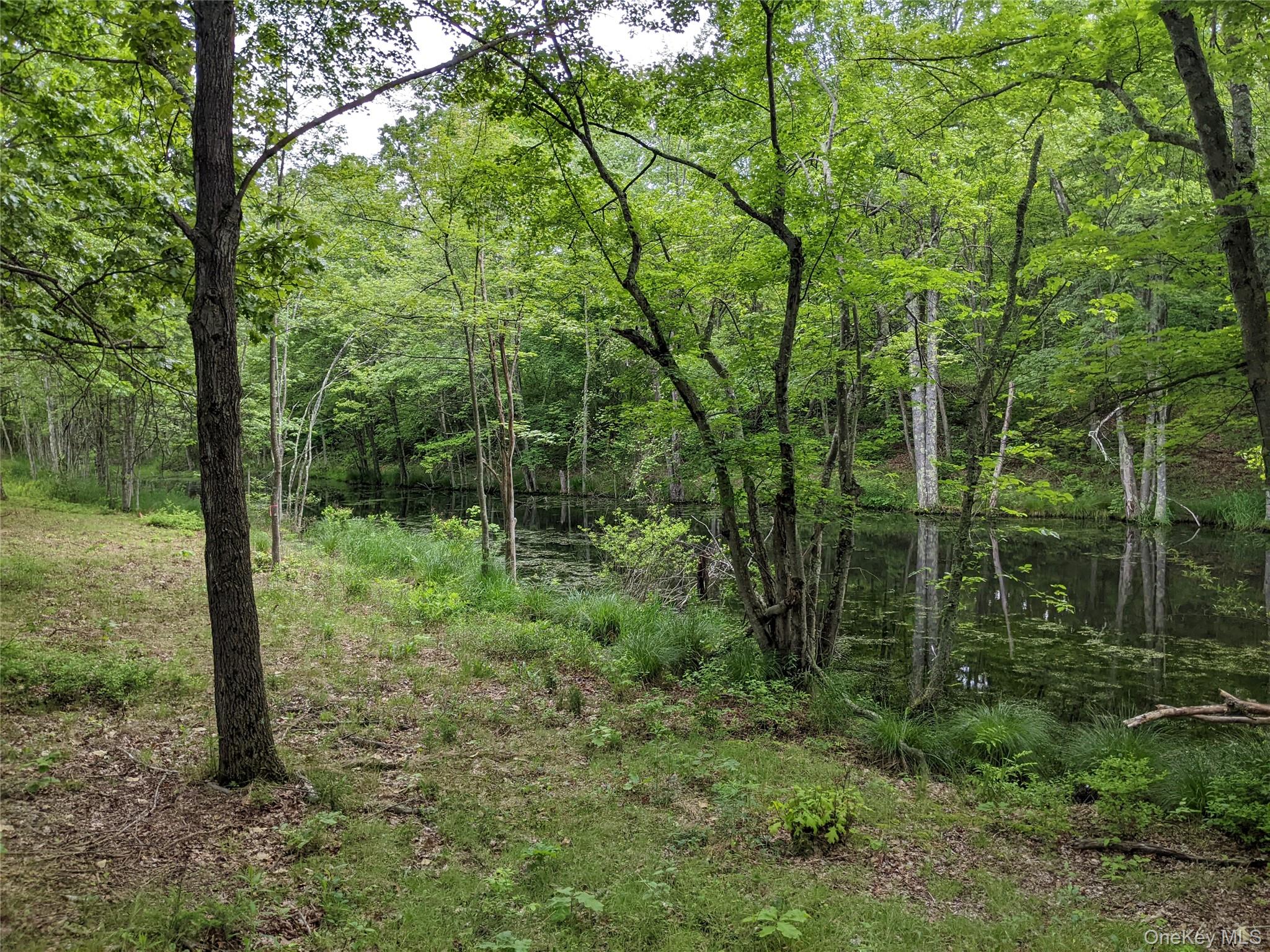 519 Woodstock Road, Millbrook, NY 12545