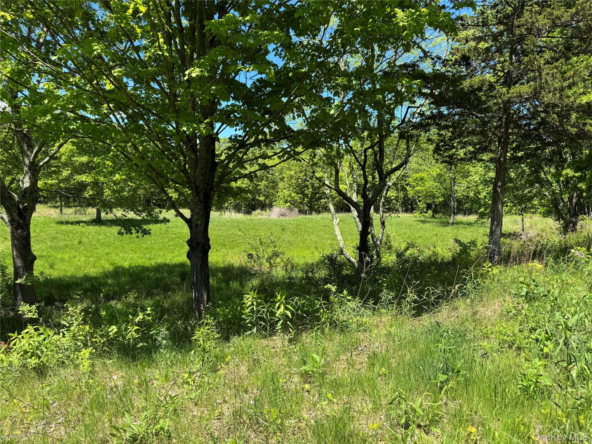 519 Woodstock Road, Millbrook, NY 12545