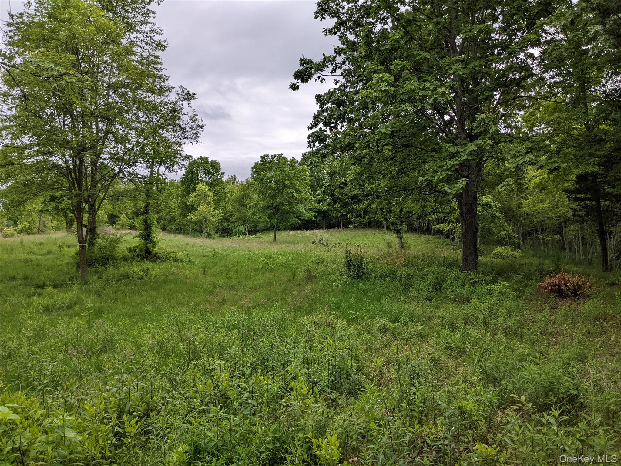 519 Woodstock Road, Millbrook, NY 12545