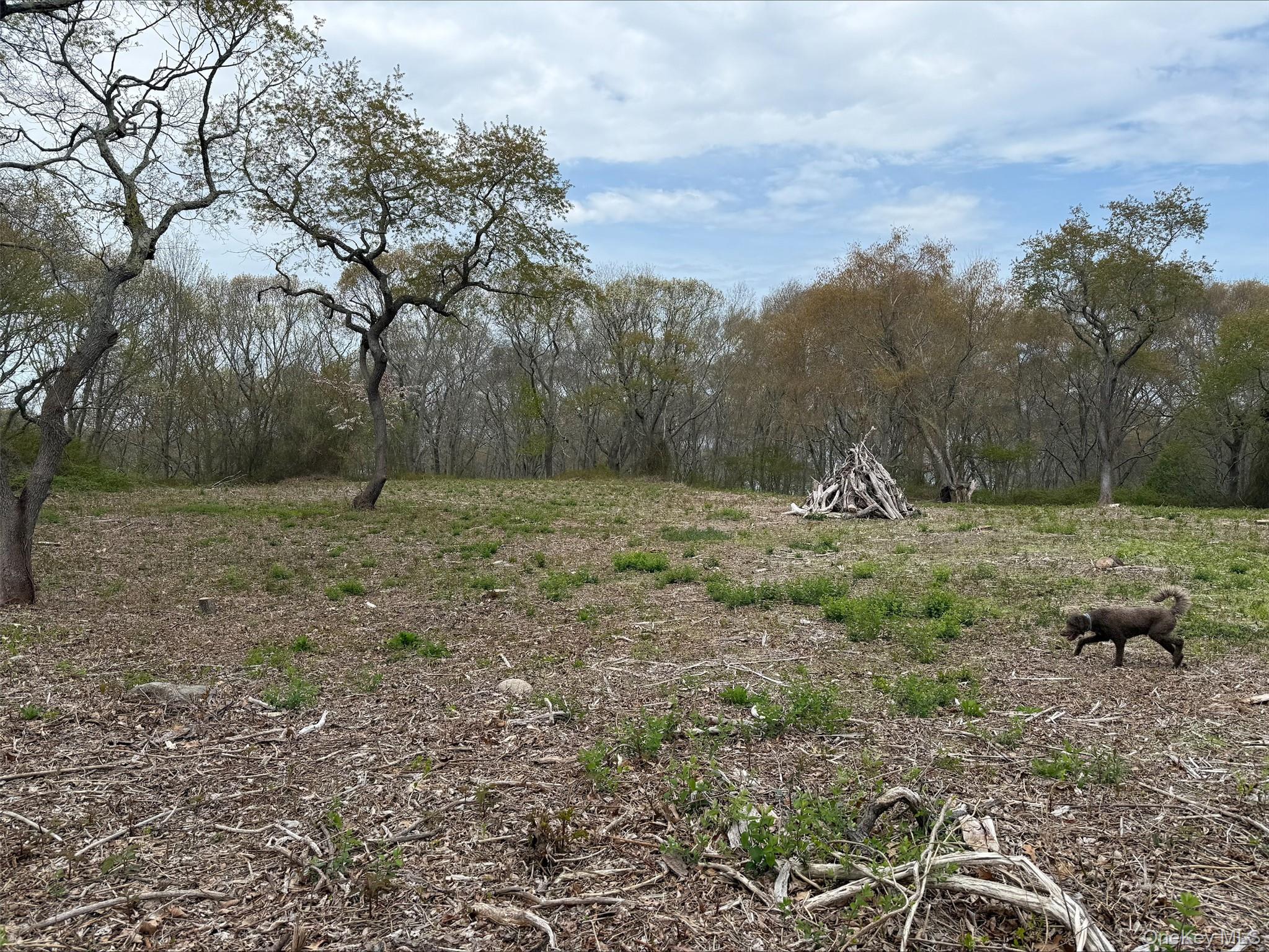 00 East End Road, Fishers Island, NY 06390