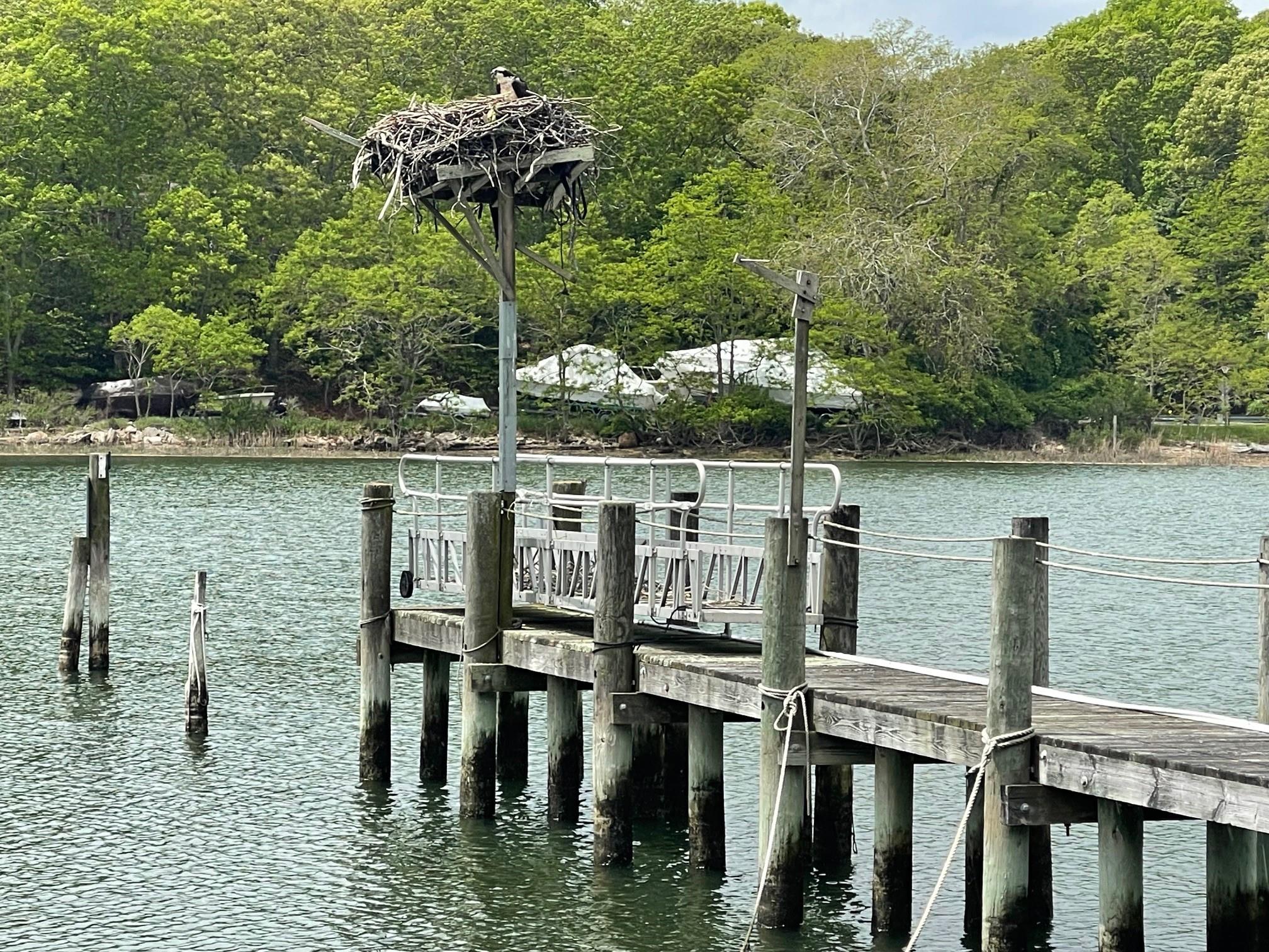 1015 Knollwood Lane, Mattituck, NY 11952