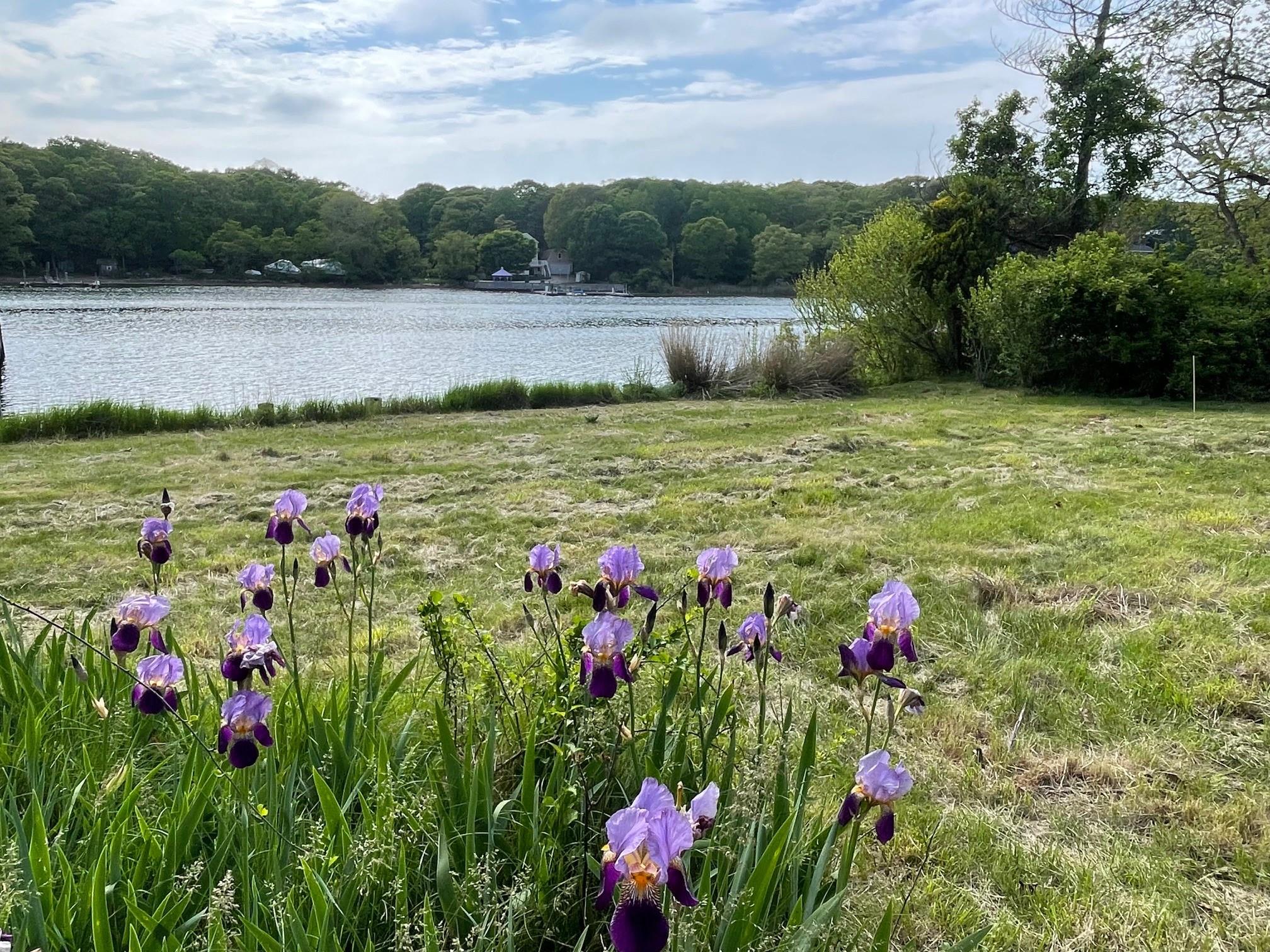 1015 Knollwood Lane, Mattituck, NY 11952