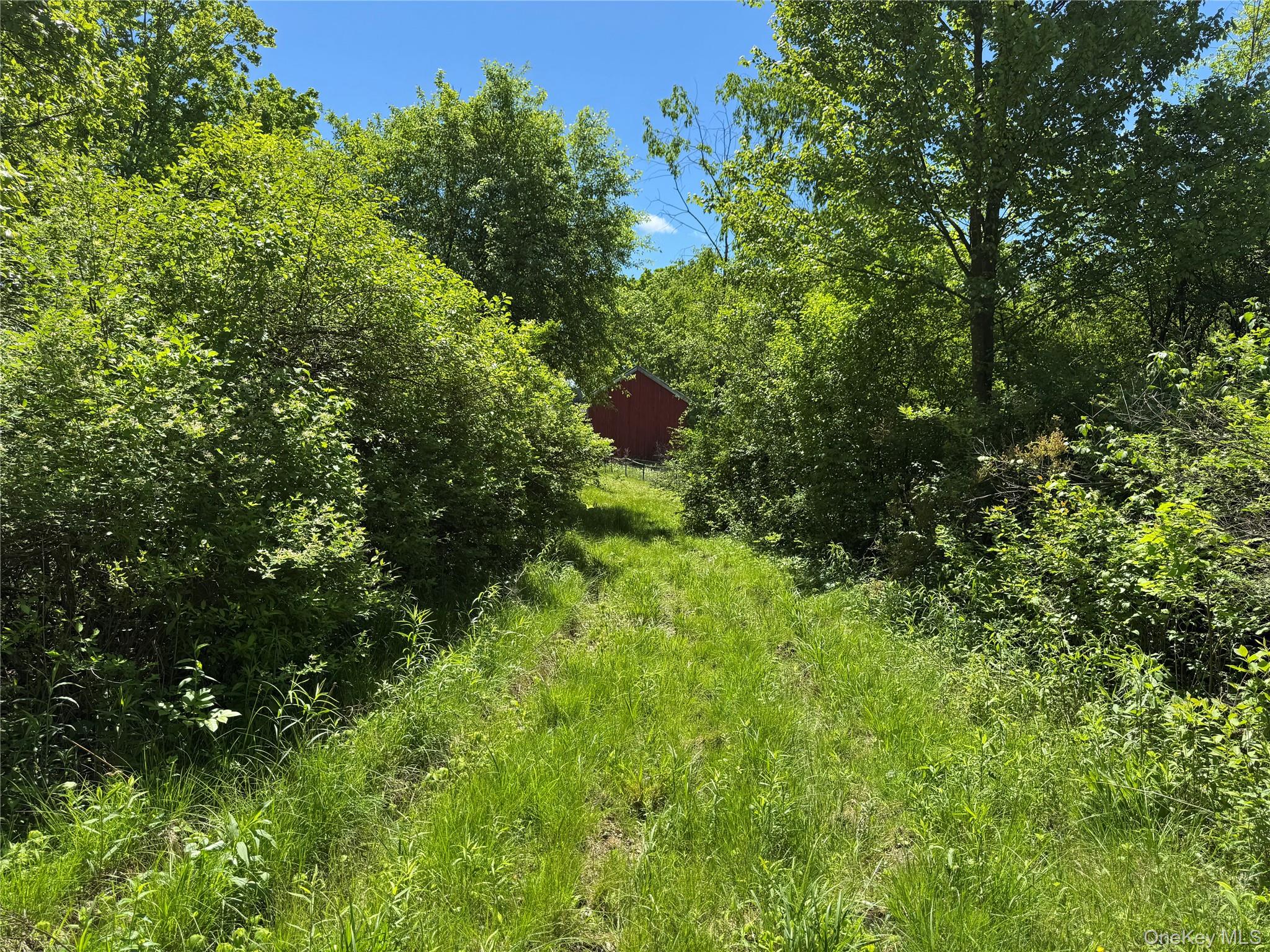 Parcel 1 - TBD Woodstock Road, Millbrook, NY 12545