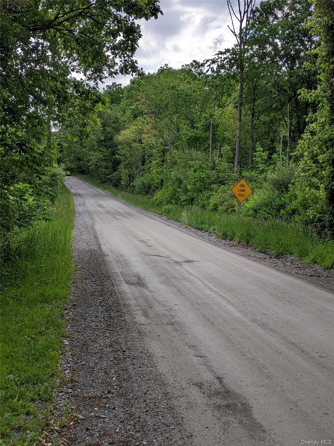 Parcel 1 - TBD Woodstock Road, Millbrook, NY 12545