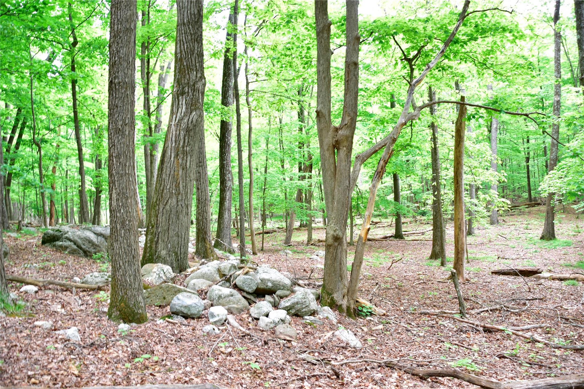 N Mountain RD, Gardiner, NY