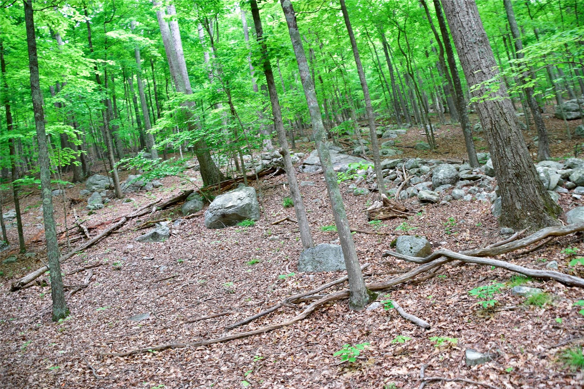 N Mountain RD, Gardiner, NY