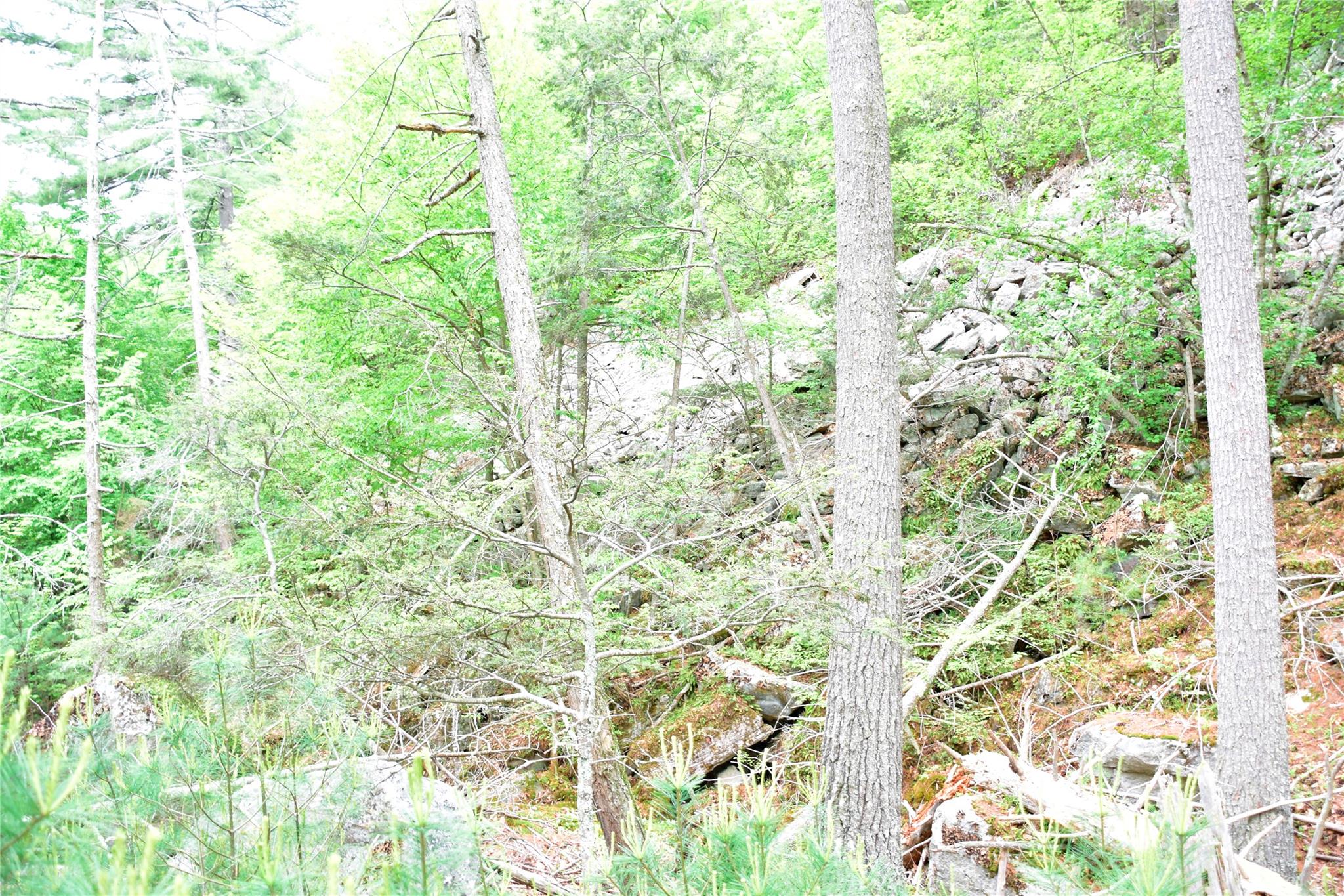 N Mountain RD, Gardiner, NY