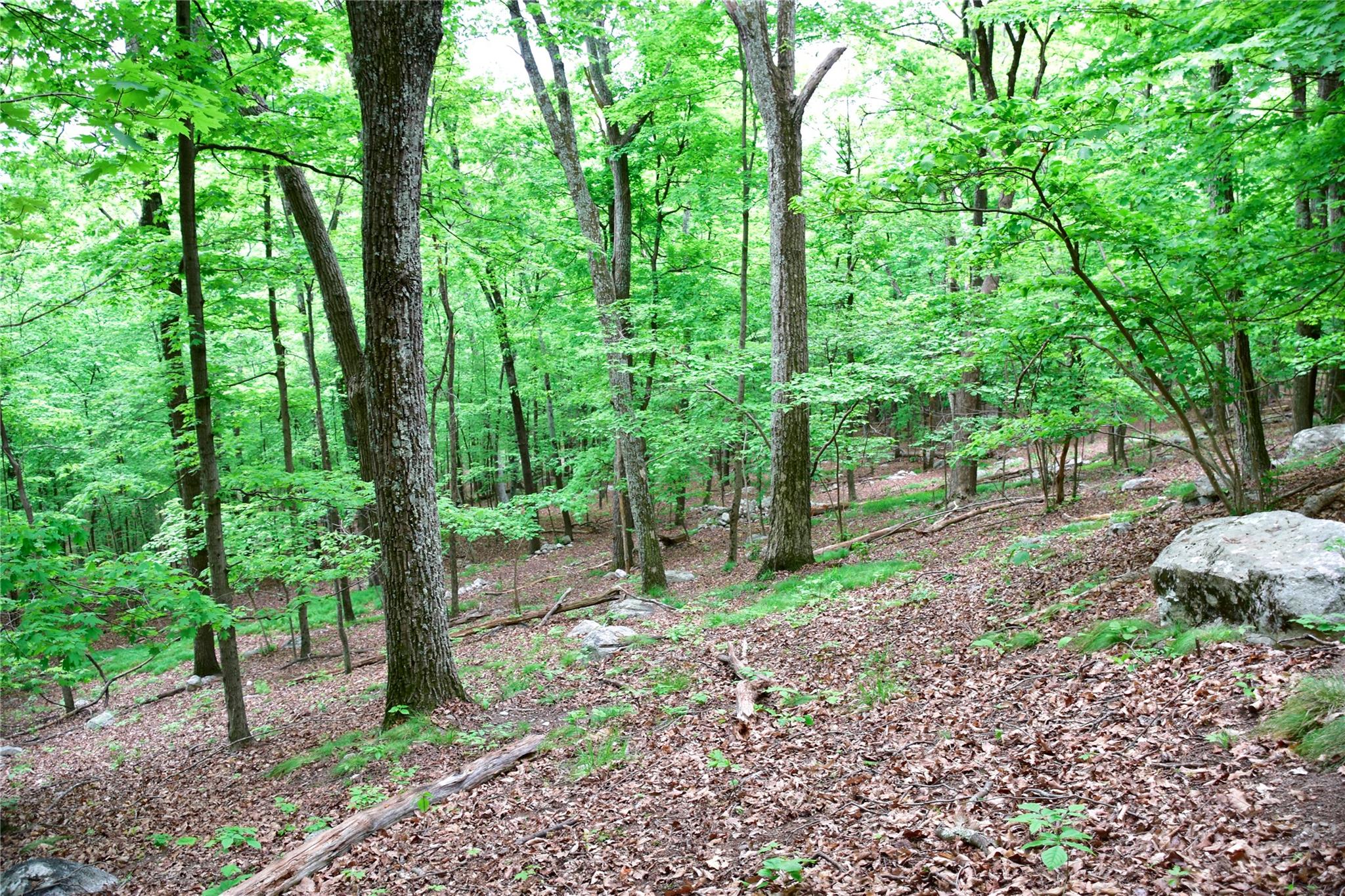 N Mountain RD, Gardiner, NY