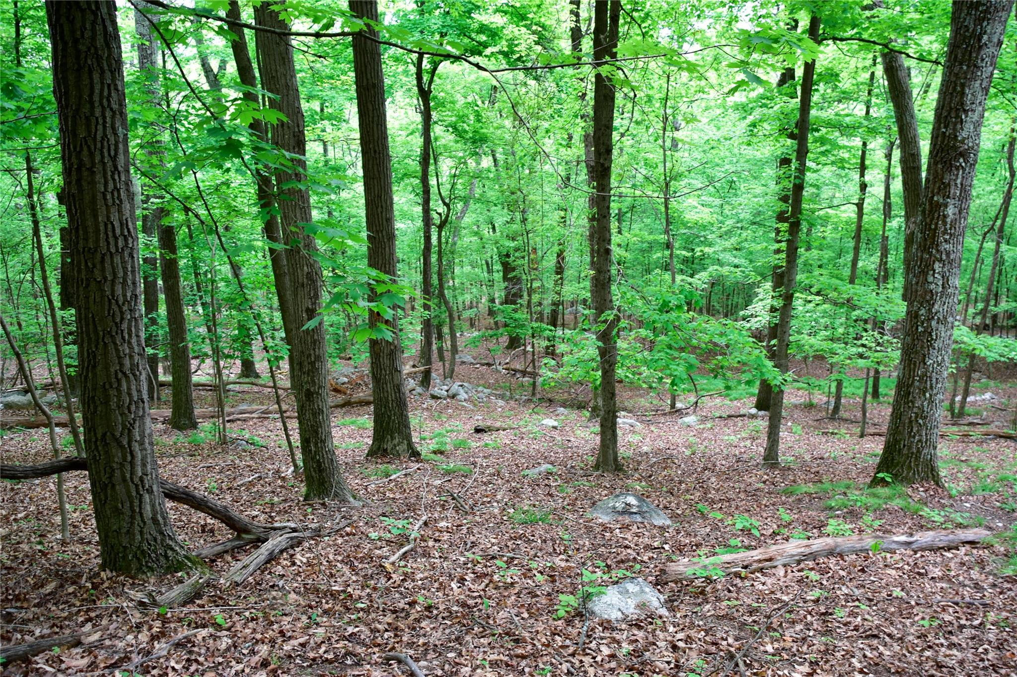 N Mountain RD, Gardiner, NY