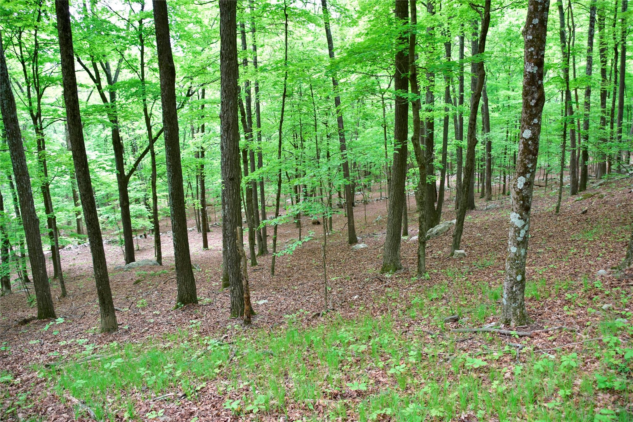 N Mountain RD, Gardiner, NY