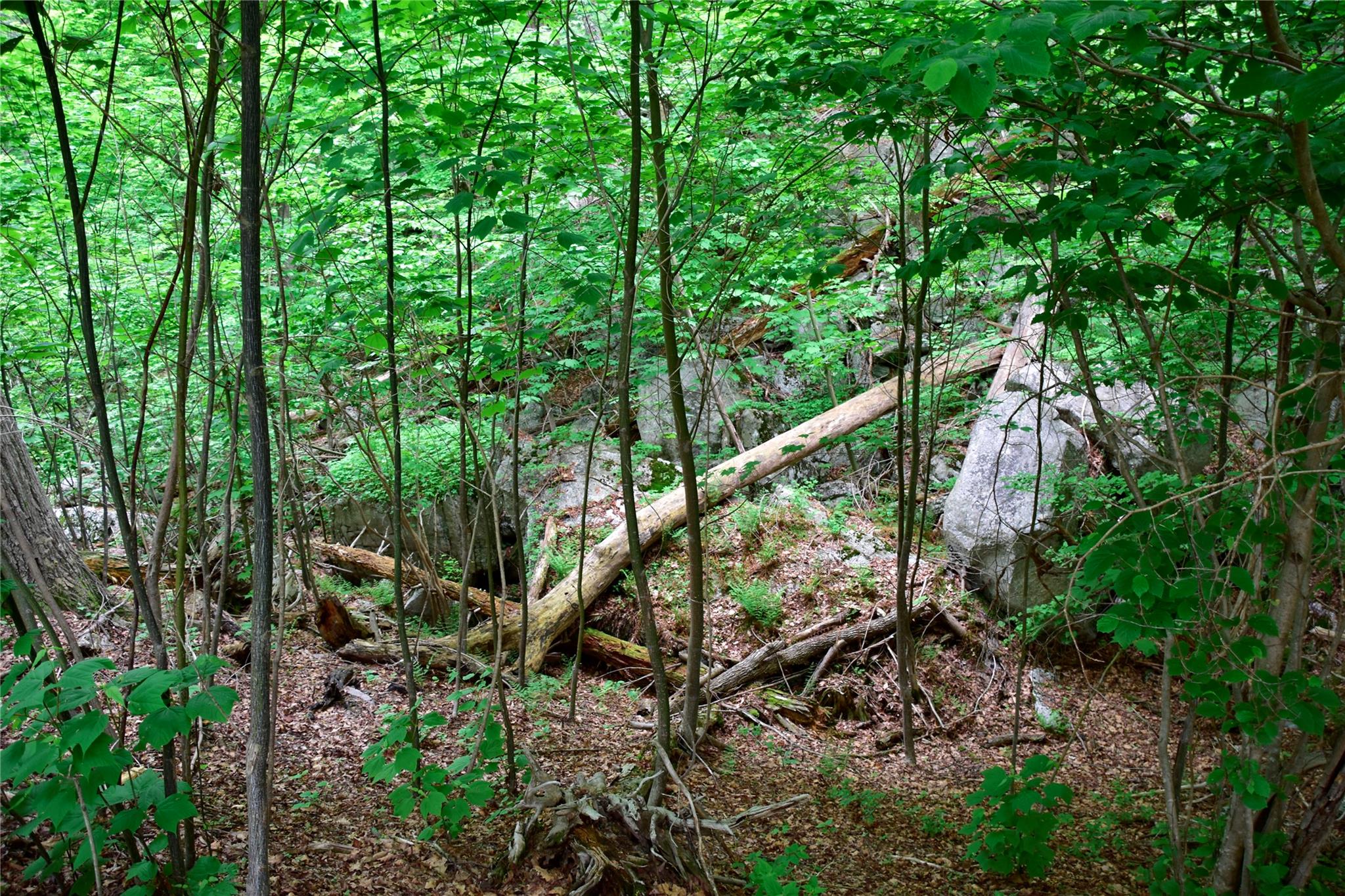 N Mountain RD, Gardiner, NY