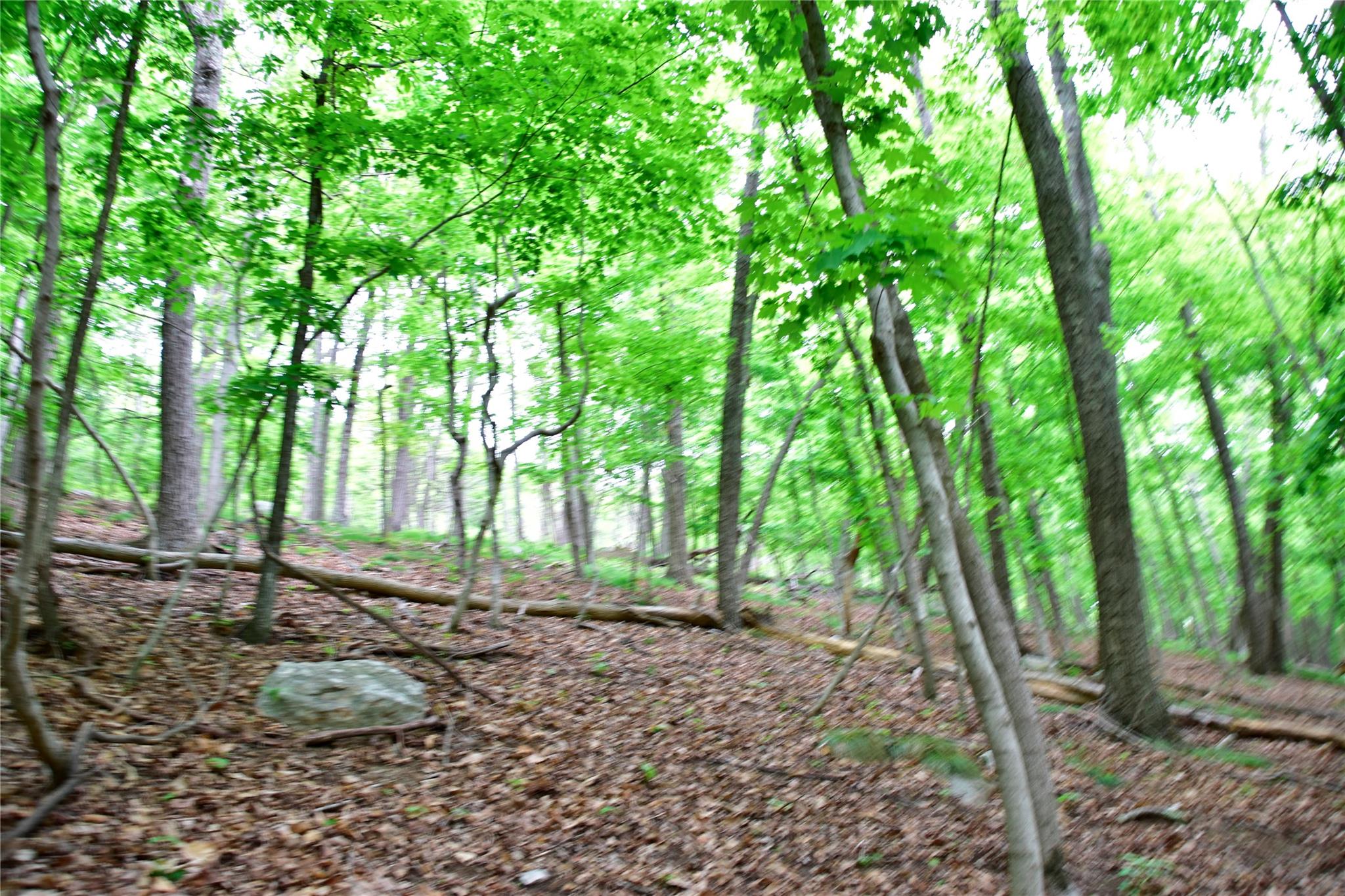 N Mountain RD, Gardiner, NY