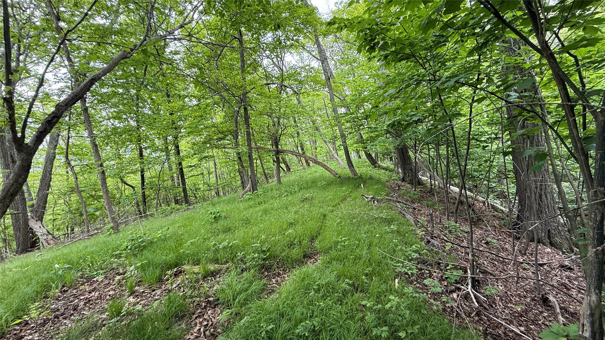 N Mountain RD, Gardiner, NY