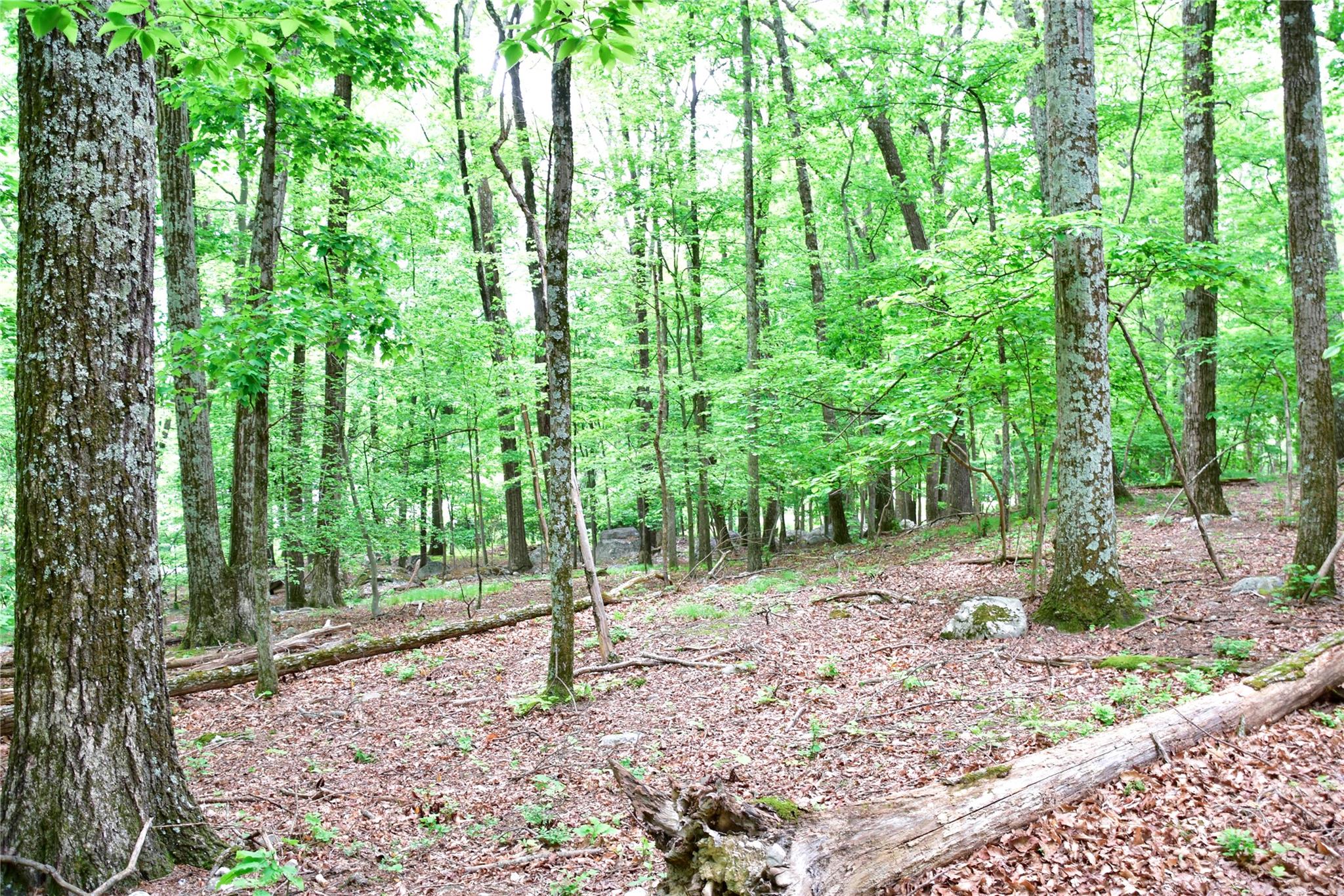 N Mountain RD, Gardiner, NY