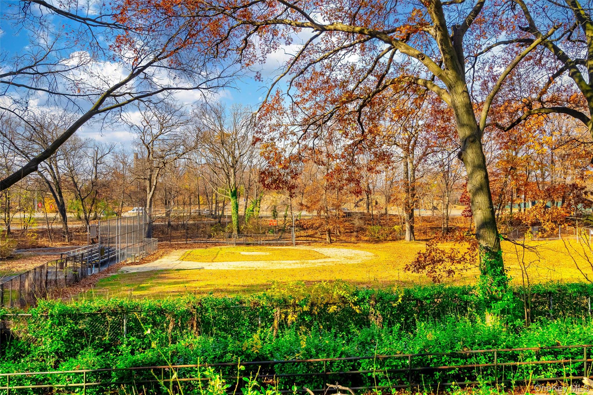 2244 Bronx Park E # 1E, Bronx, NY 10467