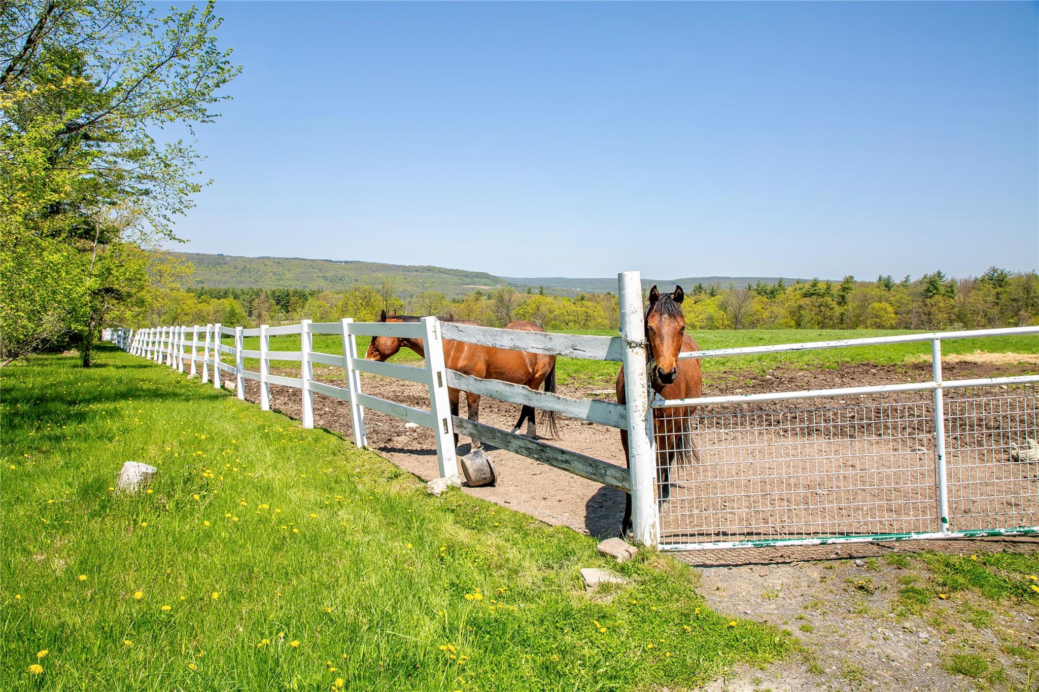 535 Upper Brown Road, Call Listing Agent, NY 12066