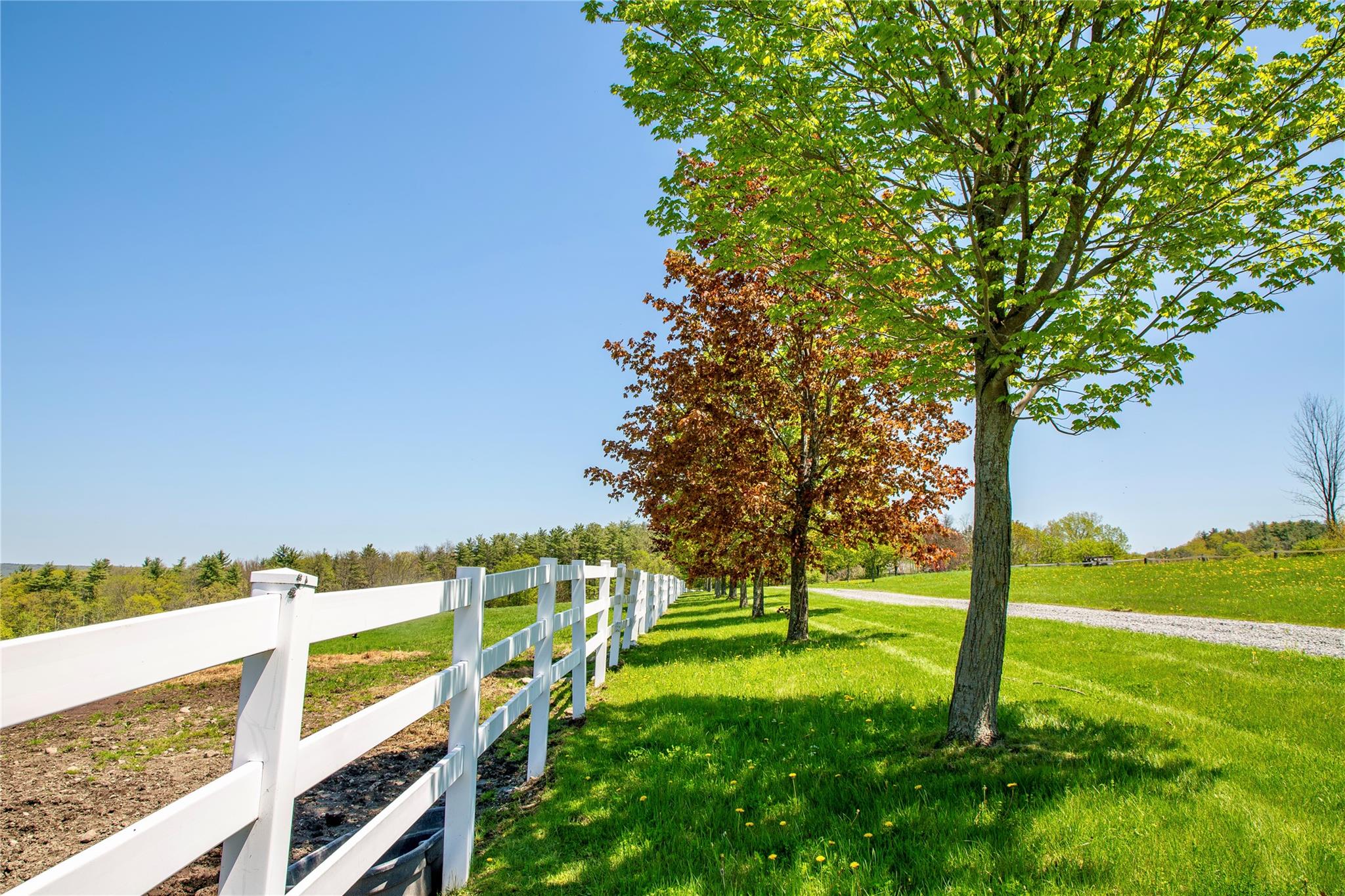 535 Upper Brown Road, Call Listing Agent, NY 12066