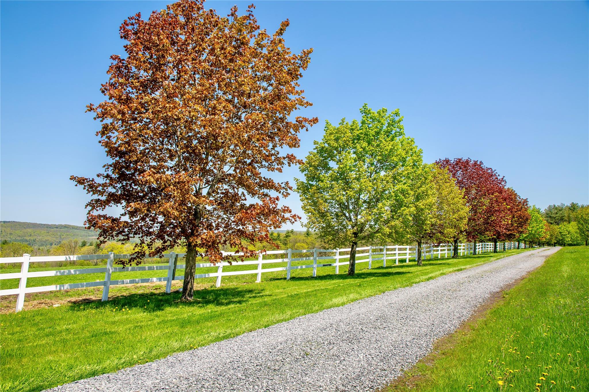 535 Upper Brown Road, Call Listing Agent, NY 12066