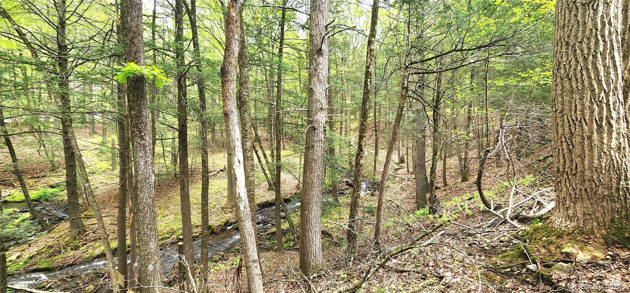 66 Hillside Road, Barryville, NY 12719