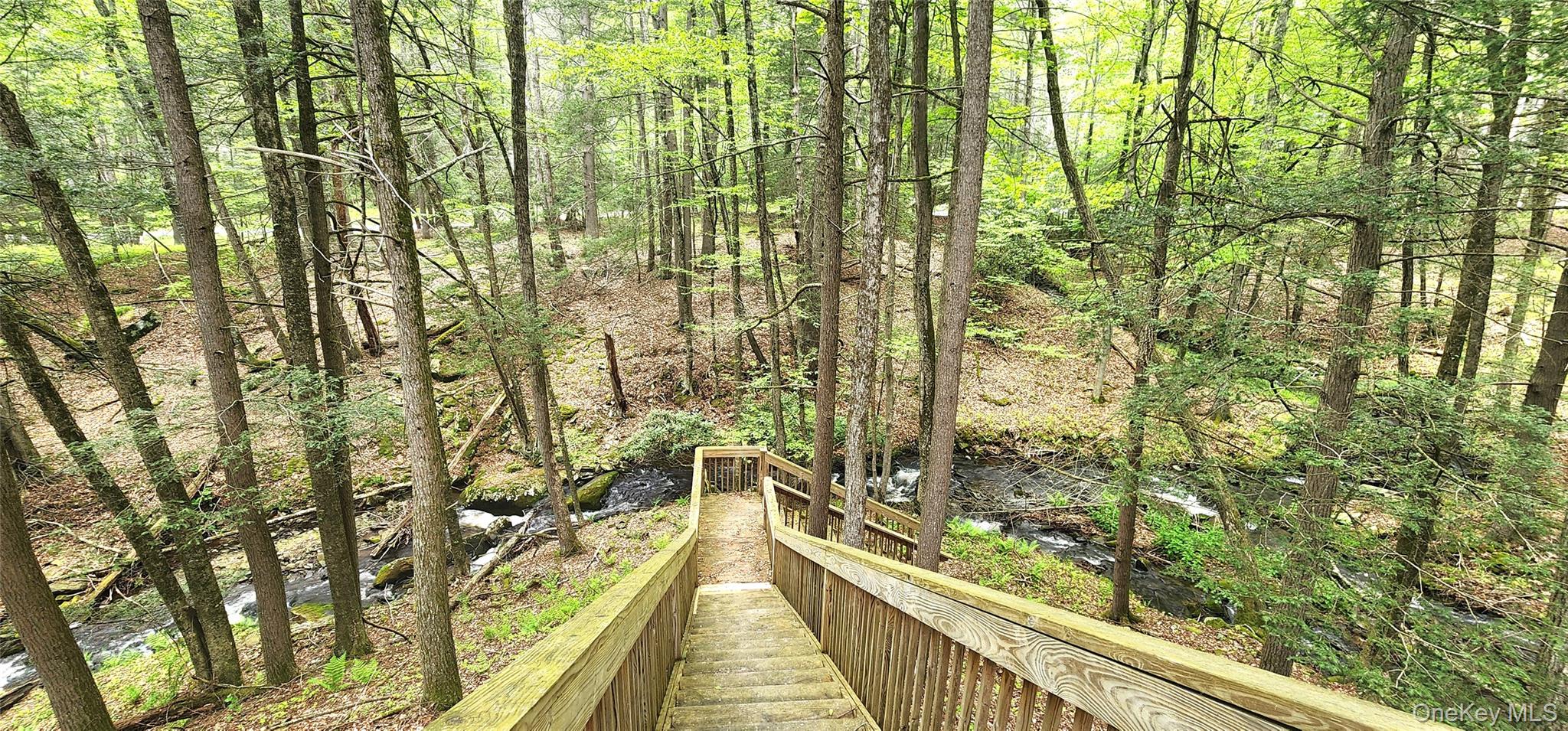 66 Hillside Road, Barryville, NY 12719